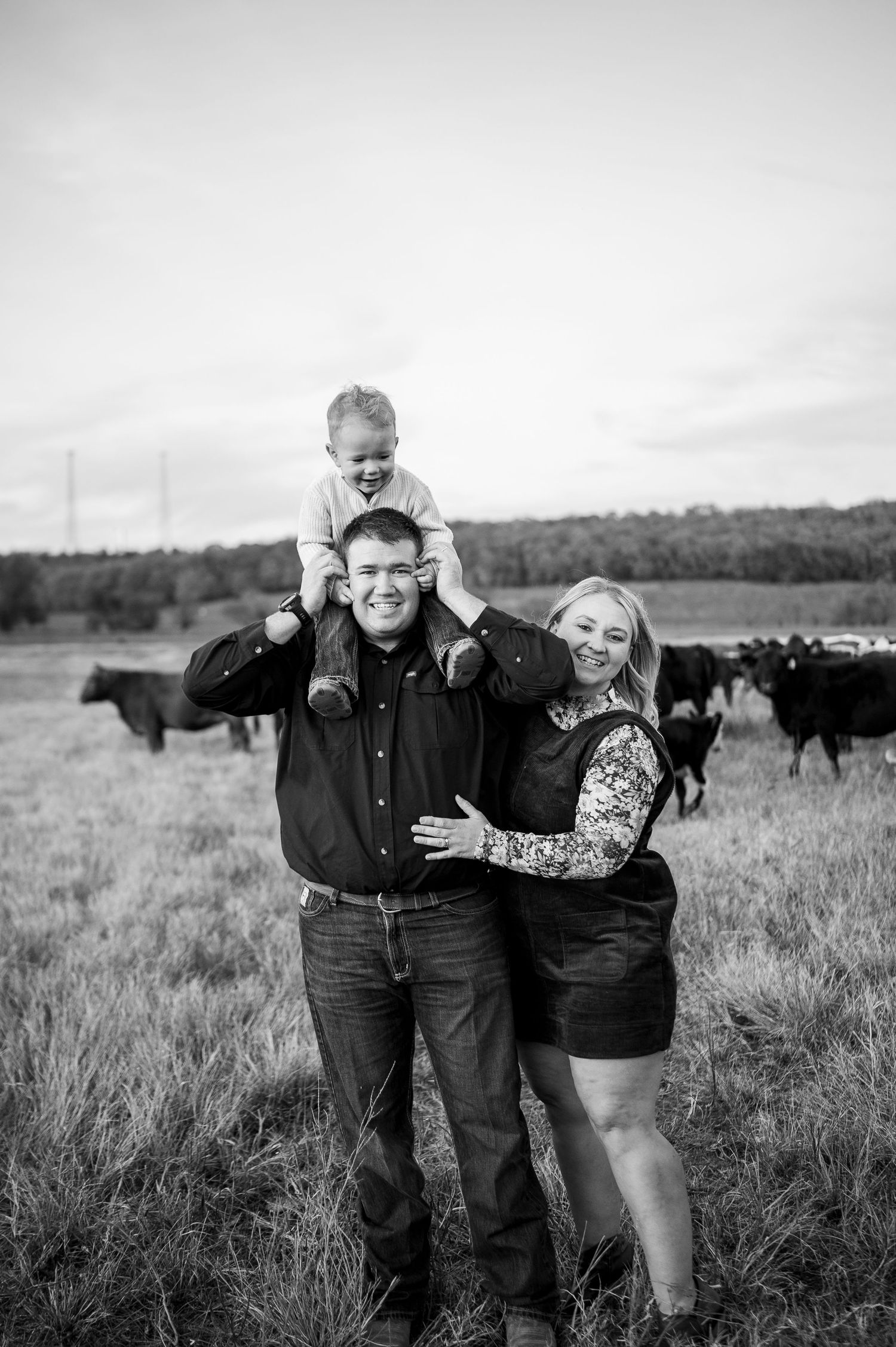 Black and white family photo of couple with toddler on shoulders standing in field with cattle grazing behind them.