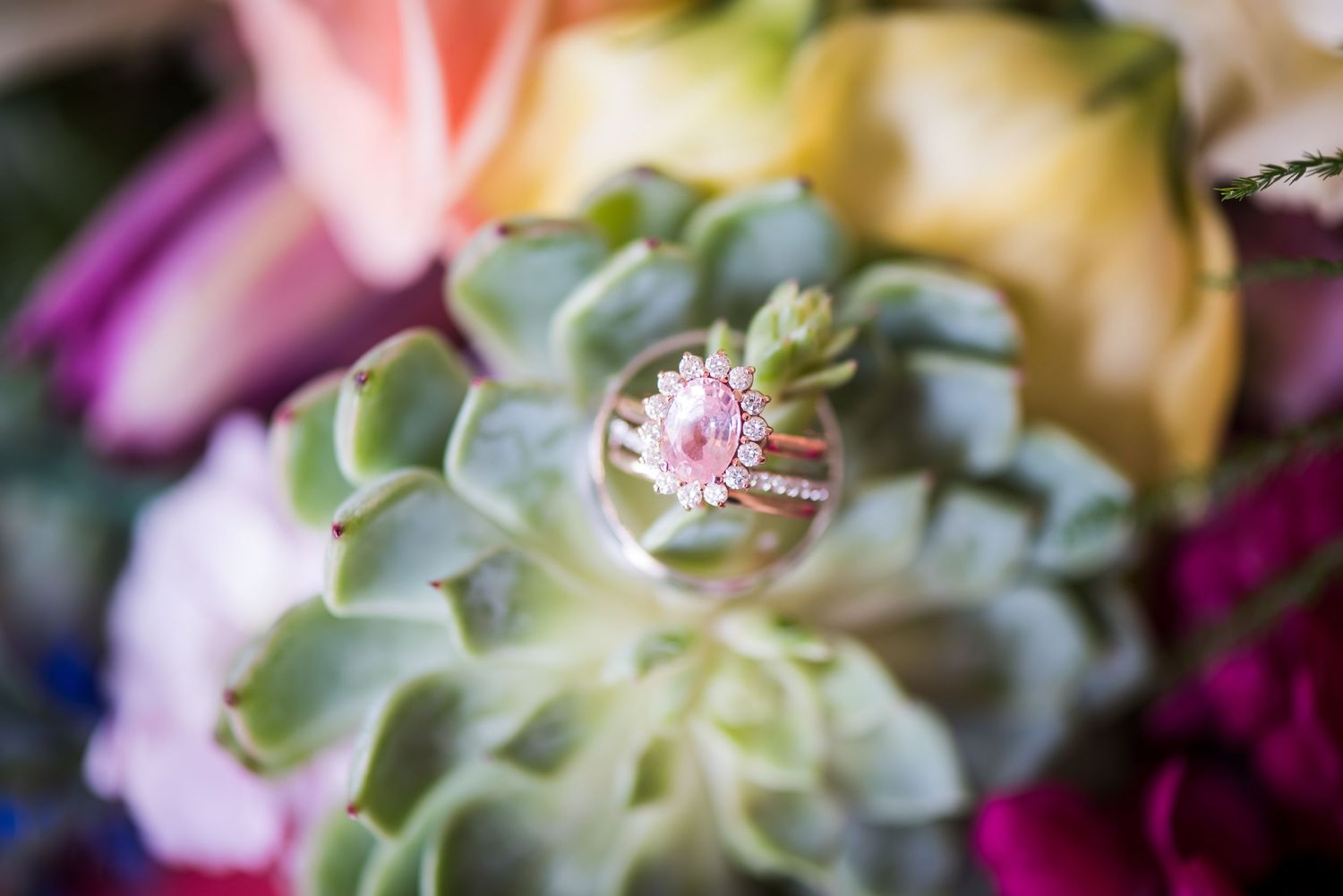 Pink oval engagement ring with halo setting displayed on succulent among colorful flowers.