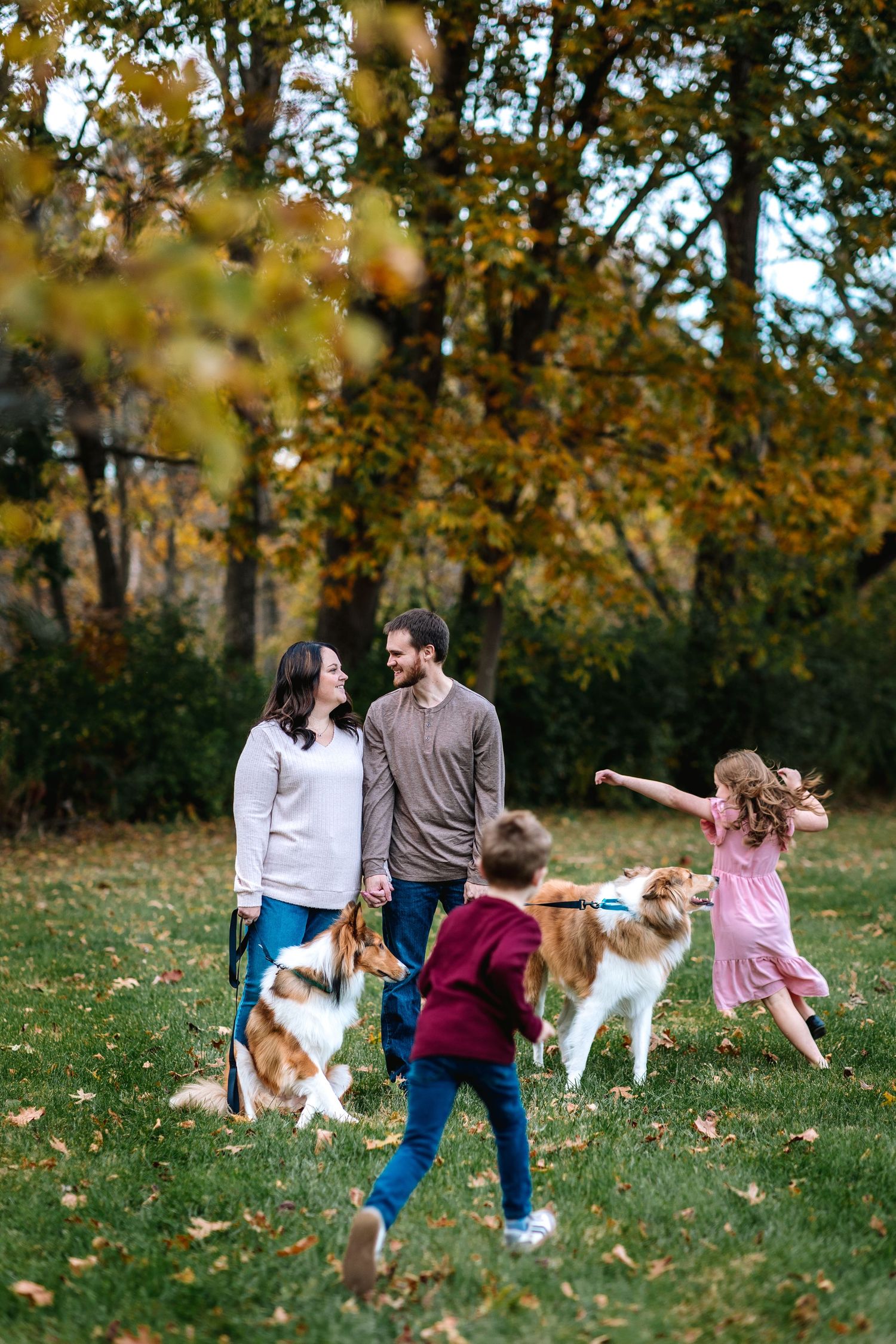 Family with two kids and Collie dogs playing in autumn park.