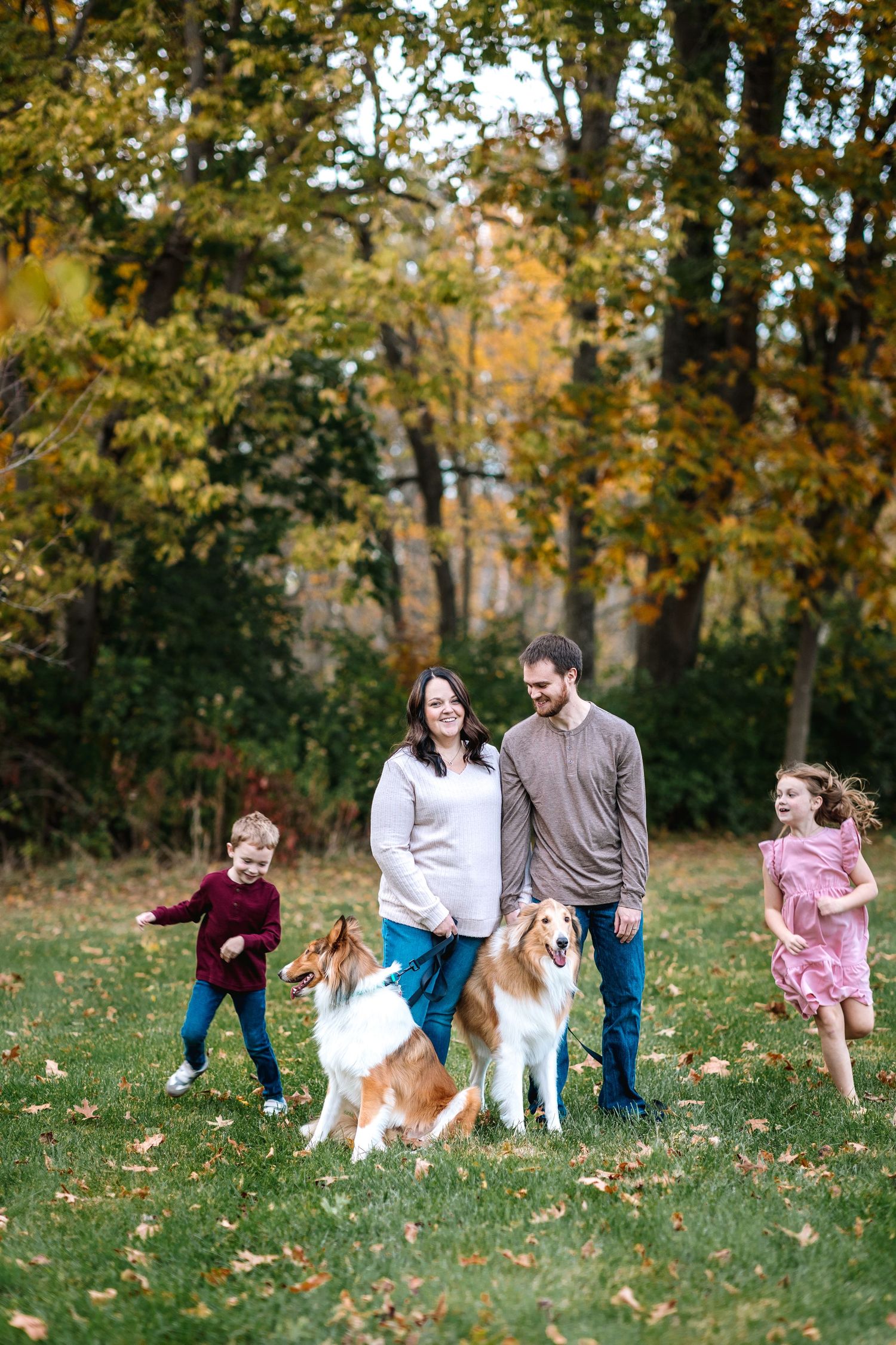 Family with two children and two Collie dogs enjoying an autumn day in a colorful park.