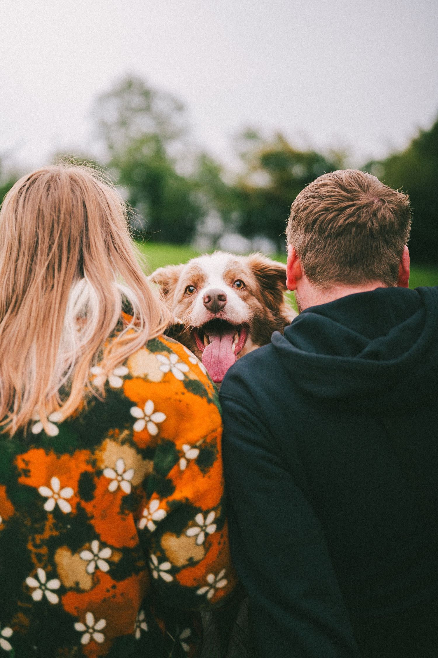 A happy brown and white dog with tongue out sits between a blonde woman in floral jacket and man in black hoodie outdoors.