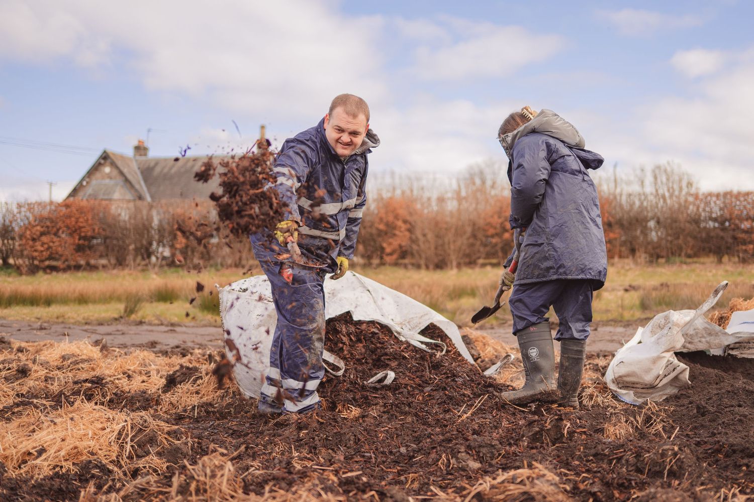 Two farmers shoveling organic compost on a rural farm field during autumn, wearing work clothes and rubber boots.