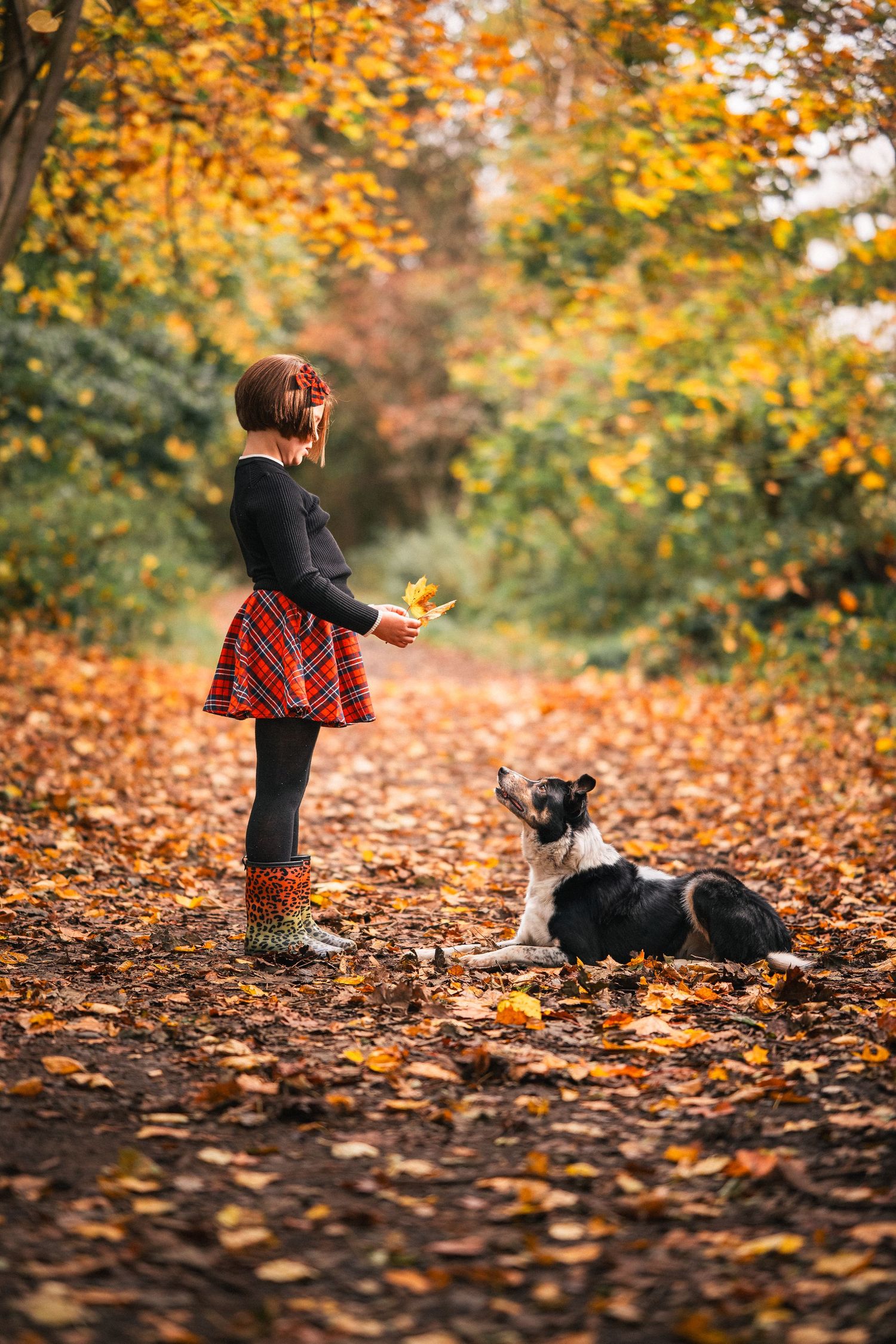 Young girl in plaid skirt training a Border Collie on a leaf-covered autumn path.