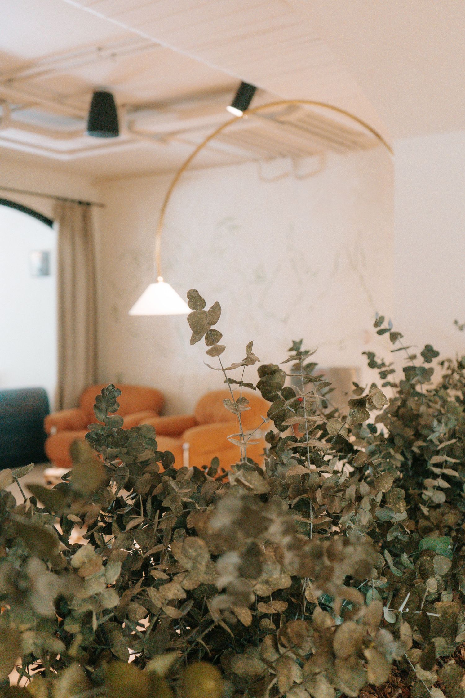 Close-up of eucalyptus branches in a hotel lobby with a curved floor lamp and orange sofa in the background.