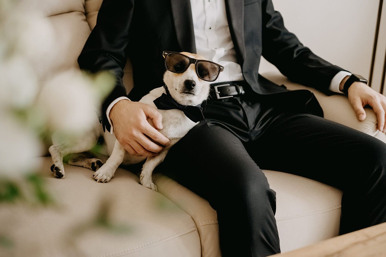 Dog wearing sunglasses sits on lap of man in black tuxedo suit at wedding.