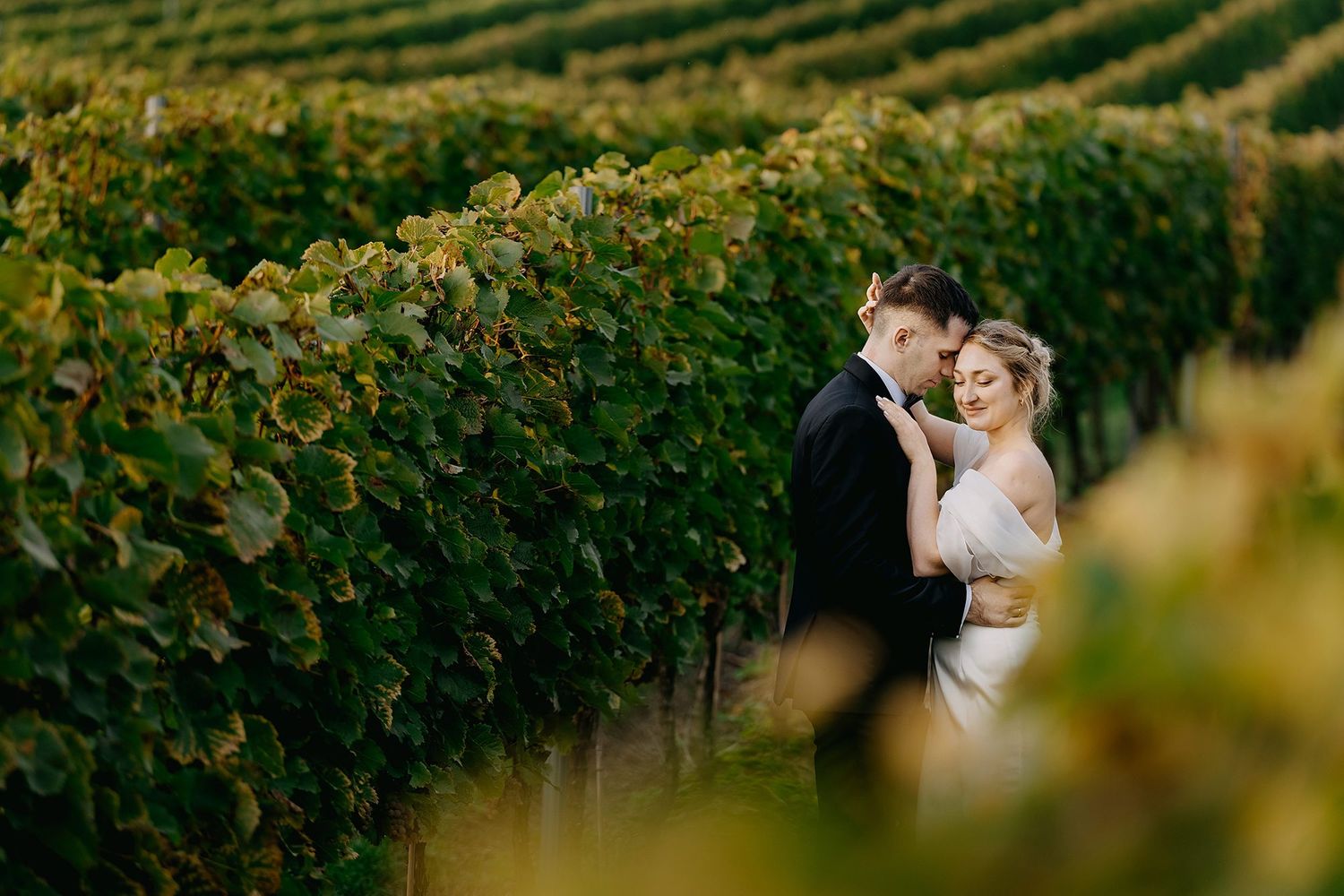 Bride and groom embrace romantically among lush green vineyard rows on their wedding day.