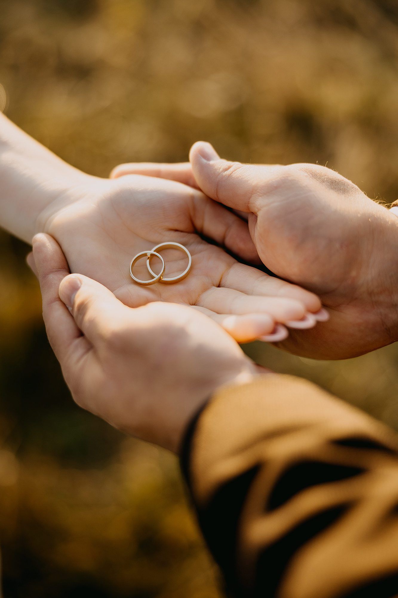 Couple holding two gold wedding rings in their cupped hands together in warm autumn light.