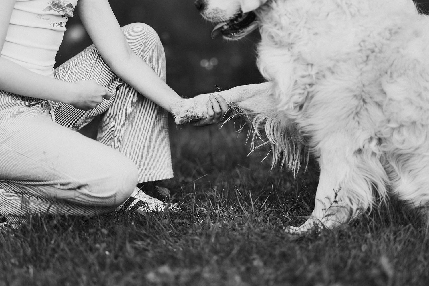 Child and fluffy dog playing on grass in black and white.
