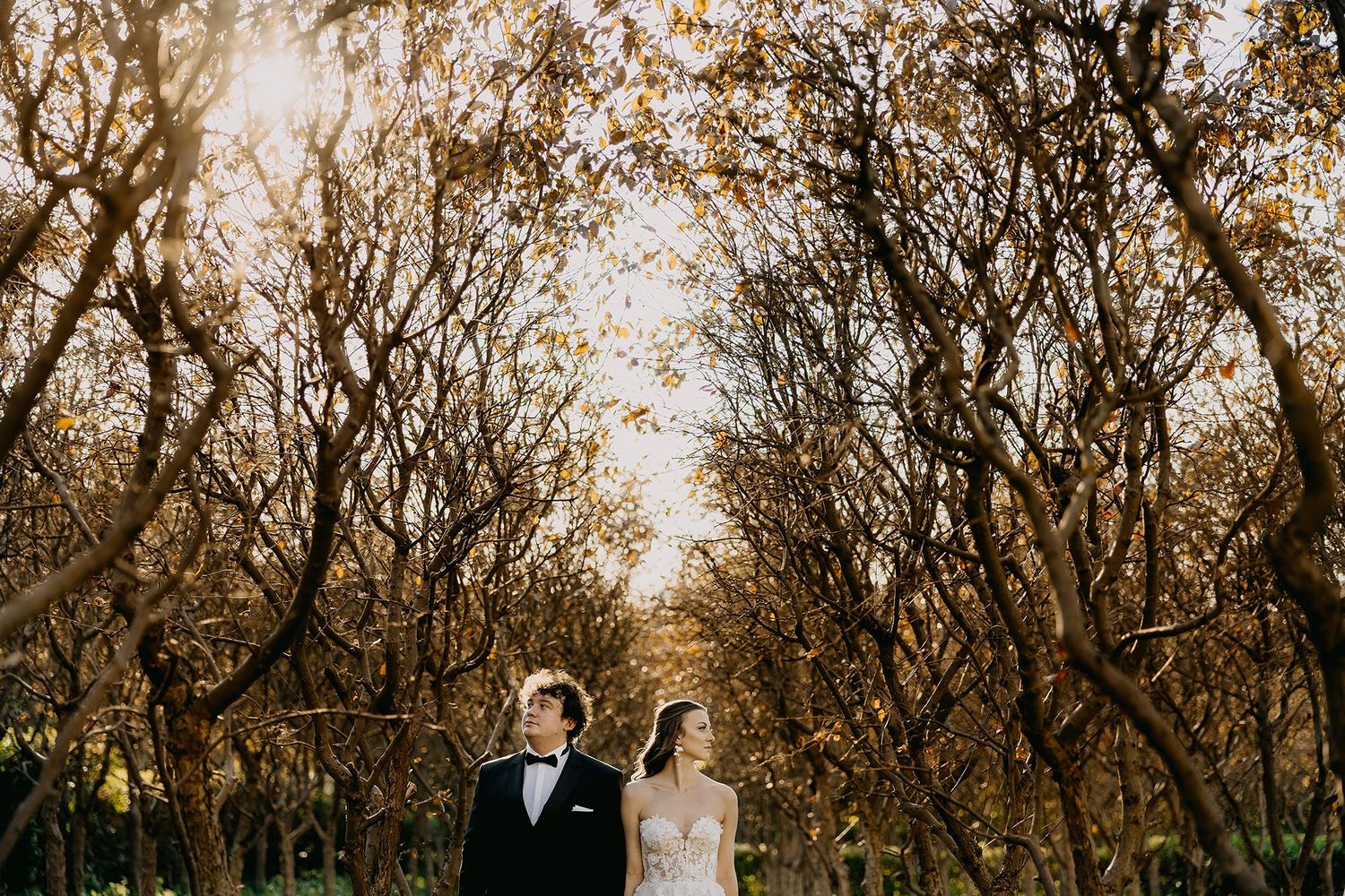 Bride and groom standing together in a golden autumn orchard with bare trees overhead.