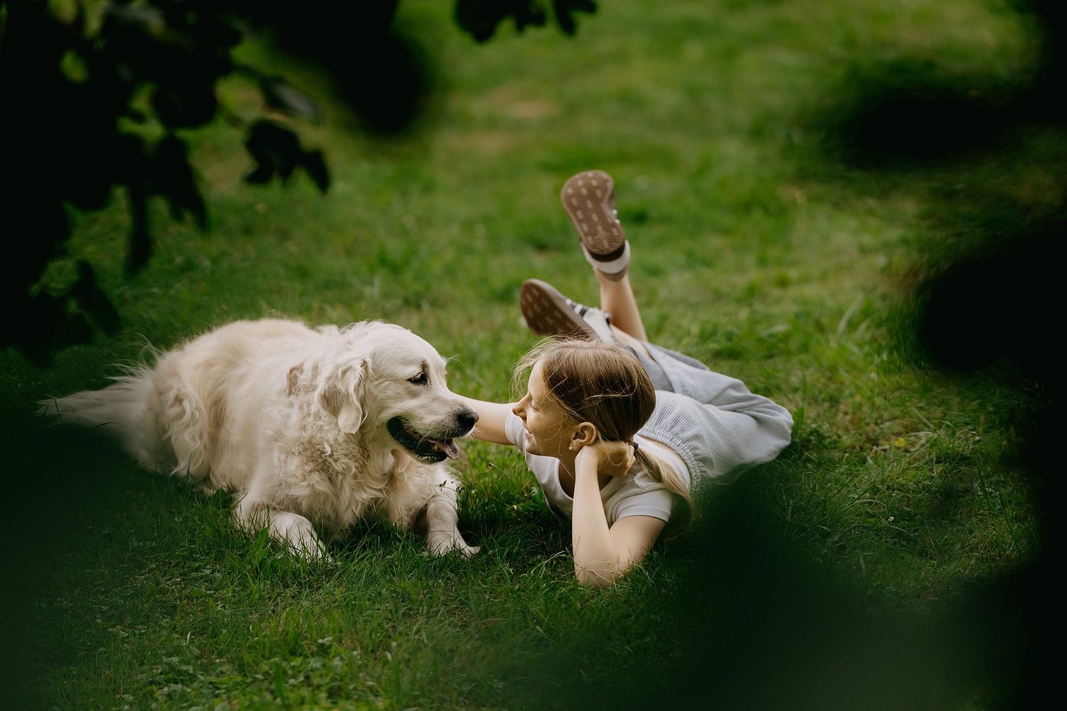 Young girl lying on green grass face to face with a fluffy white Golden Retriever dog.