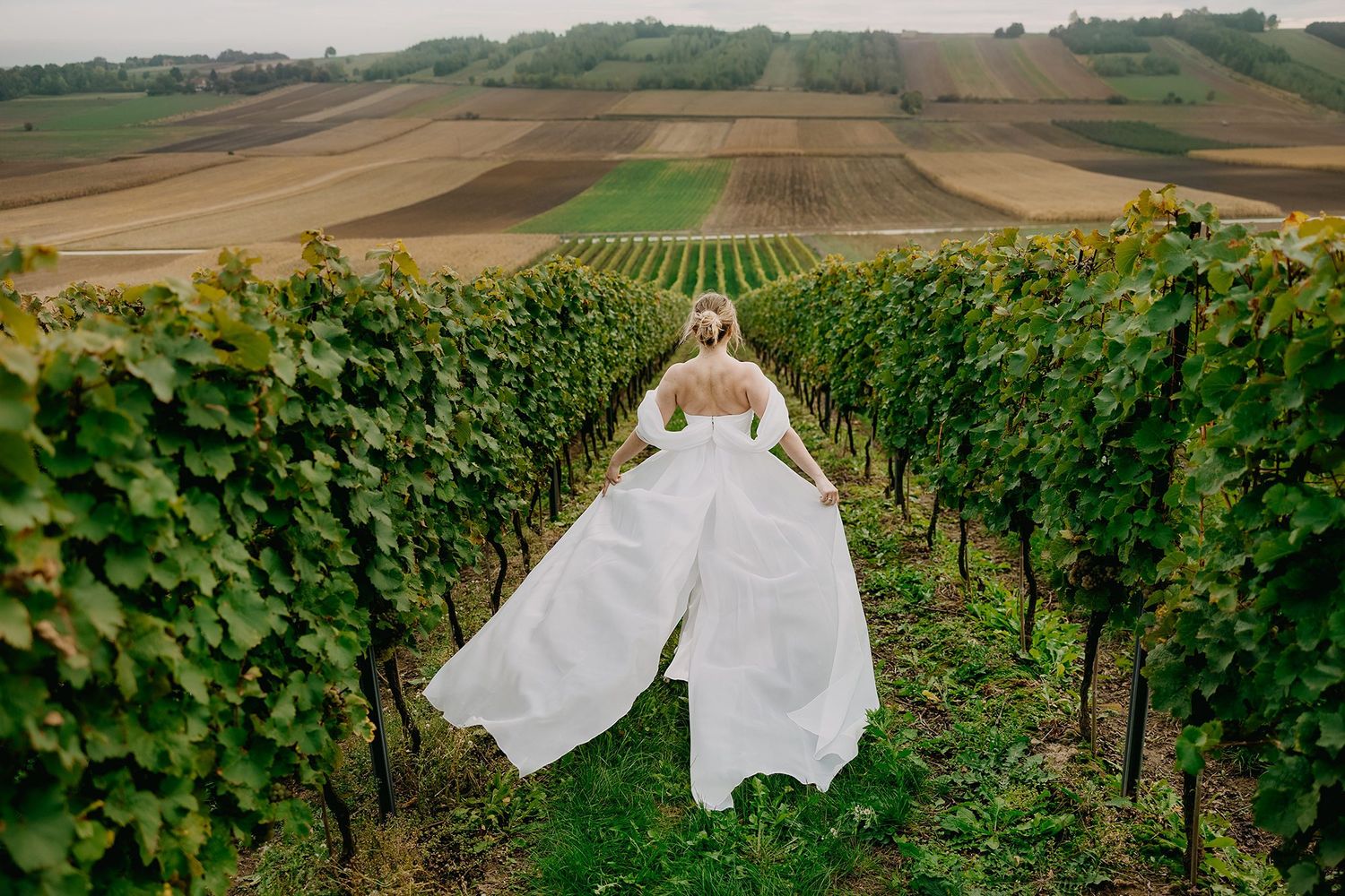 Bride in flowing white gown walks through lush vineyard rows with scenic countryside fields beyond.