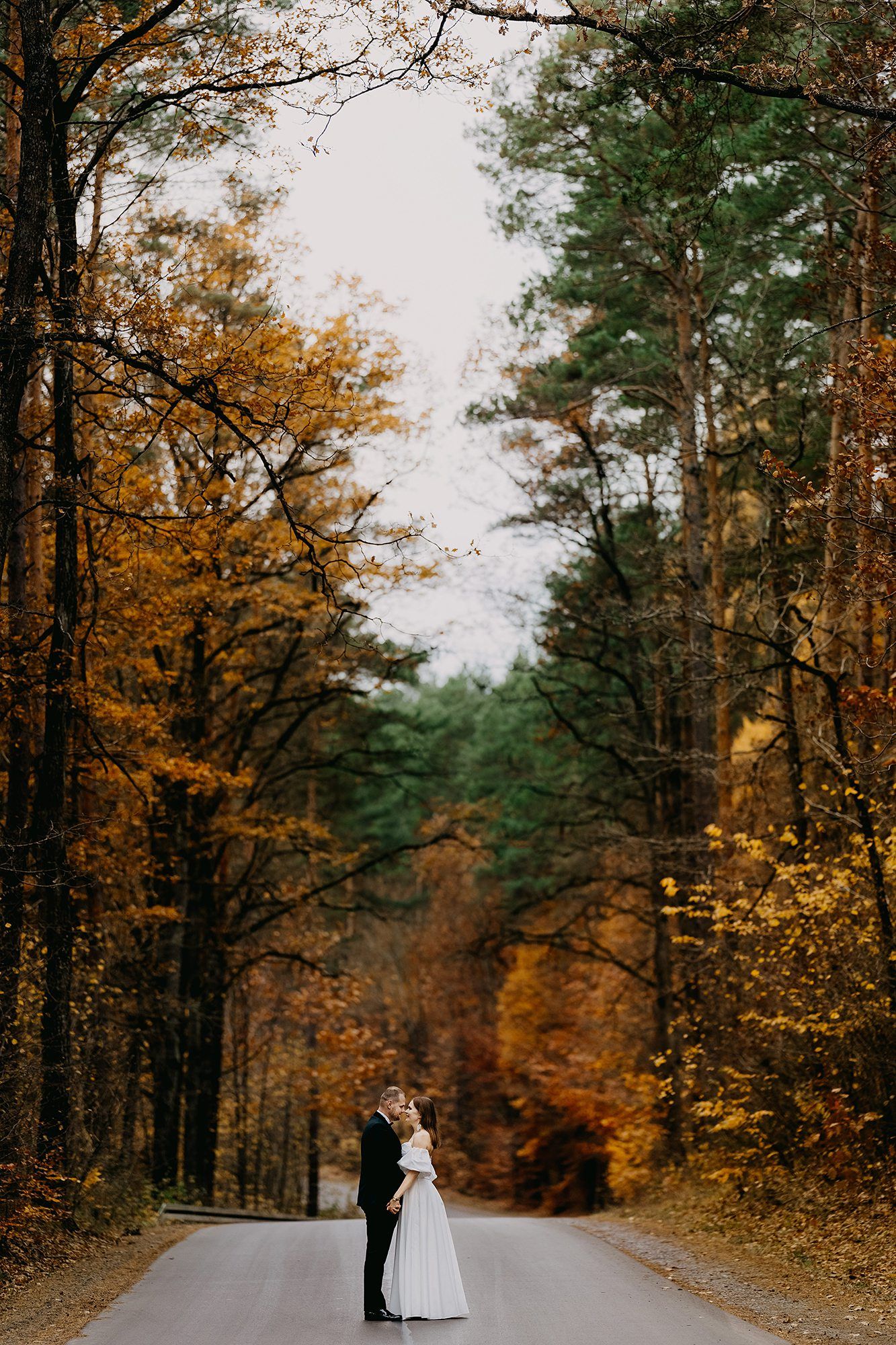 Wedding couple embraces on a road surrounded by vibrant autumn forest trees in golden hues.