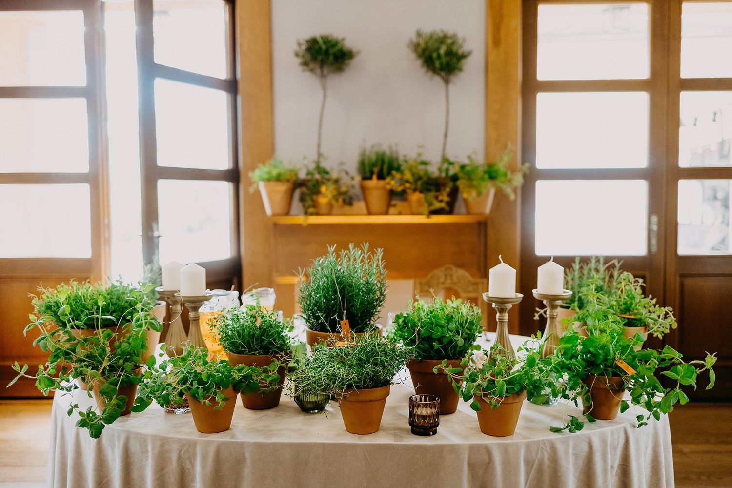 Terracotta pots with lush green herbs arranged on a white linen table at a rustic wedding reception.