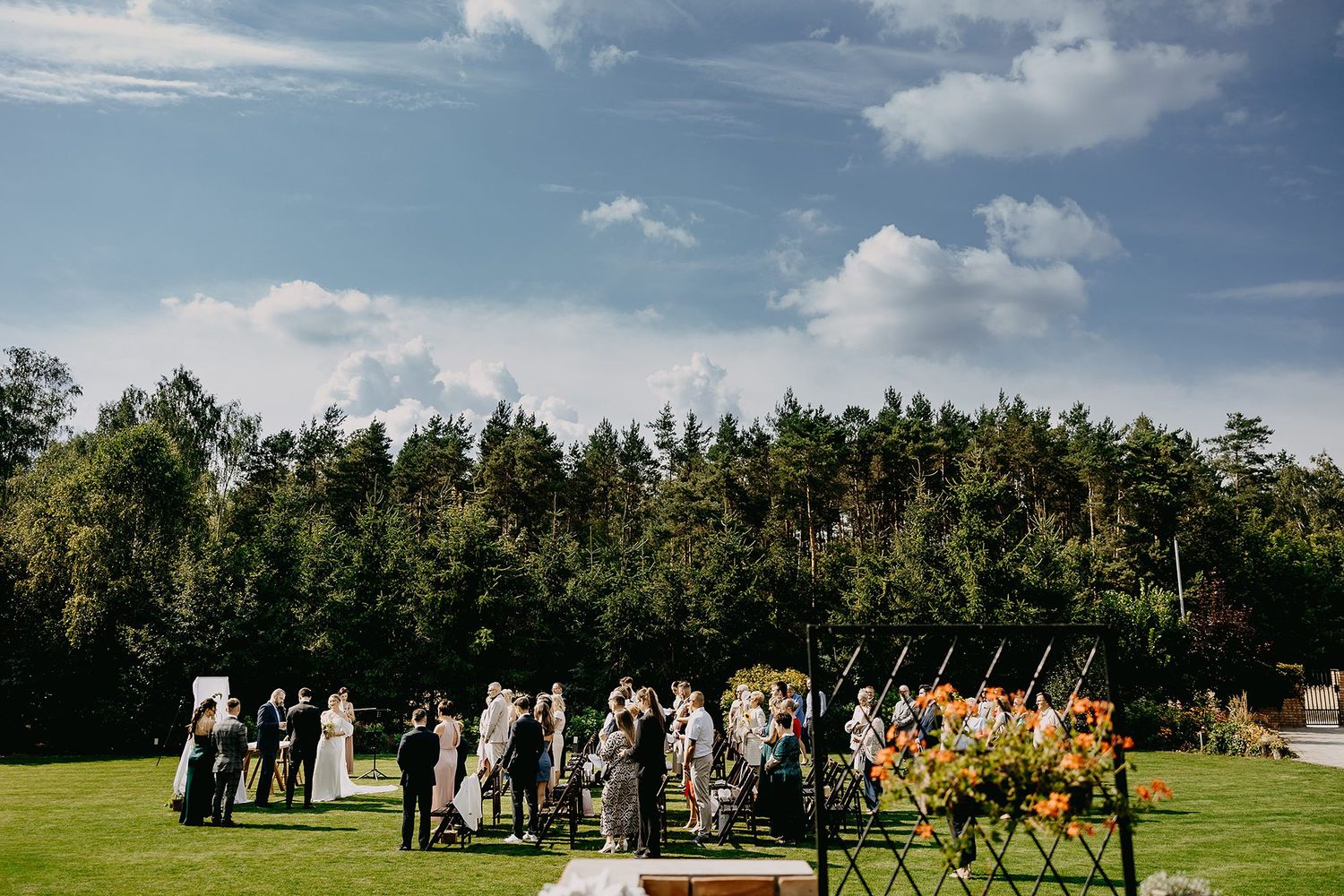Wedding guests gathered on lush green lawn with forest backdrop under blue sky.