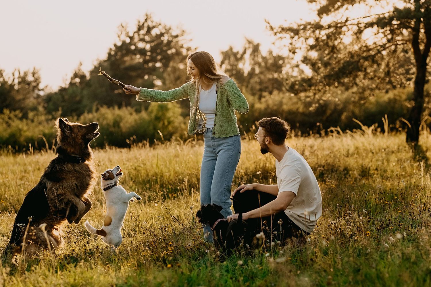 Happy couple playing with two dogs in a sunny green meadow at golden hour.