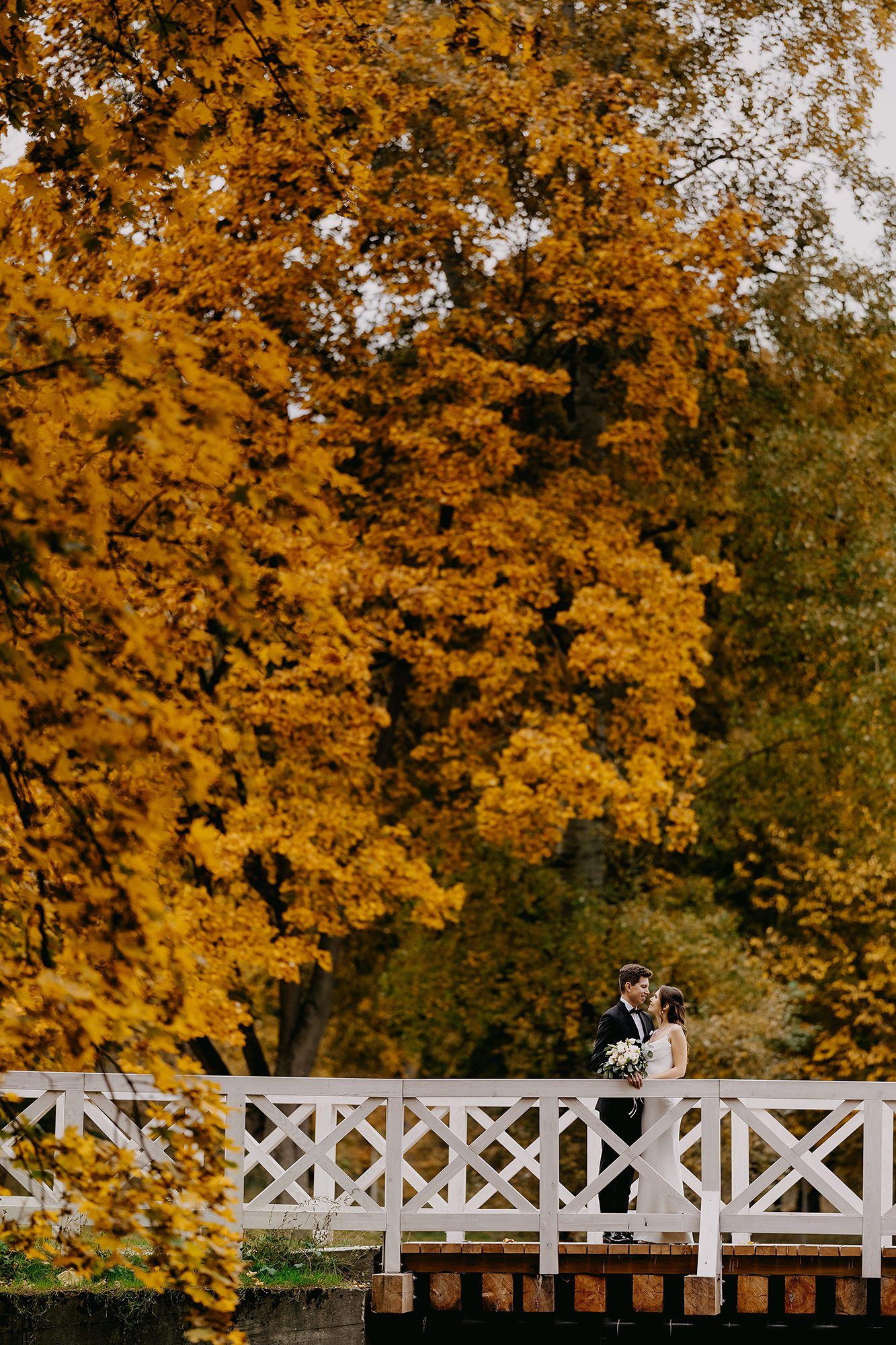 Wedding couple kissing on white bridge surrounded by vibrant autumn golden foliage.