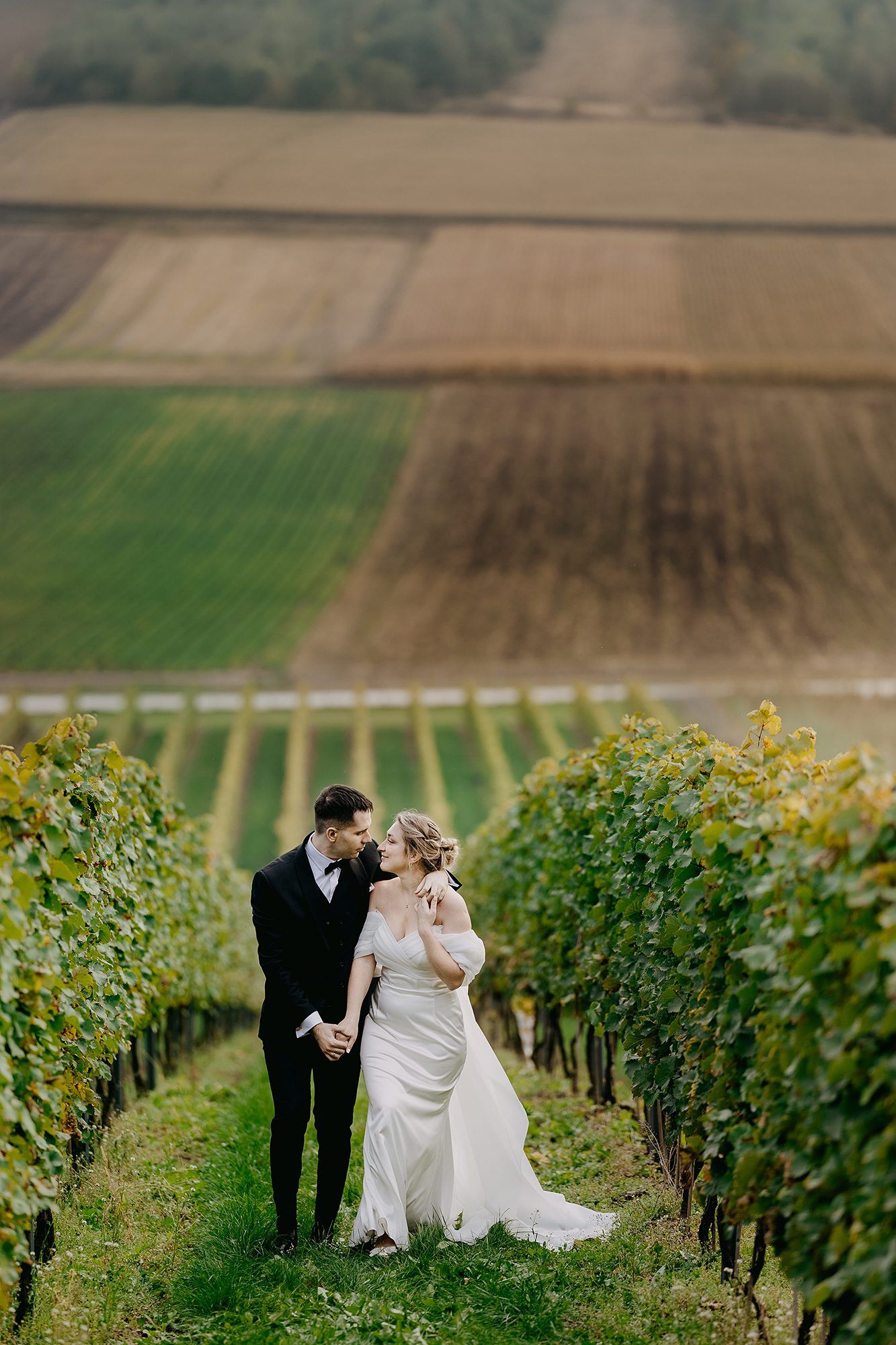 Bride and groom share a romantic moment standing between lush vineyard rows with scenic fields behind.