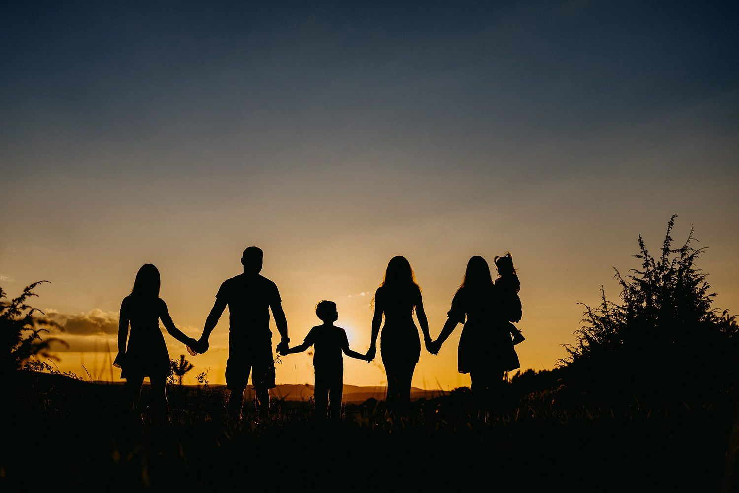 Silhouette of family of five holding hands in a row at golden sunset in open field.