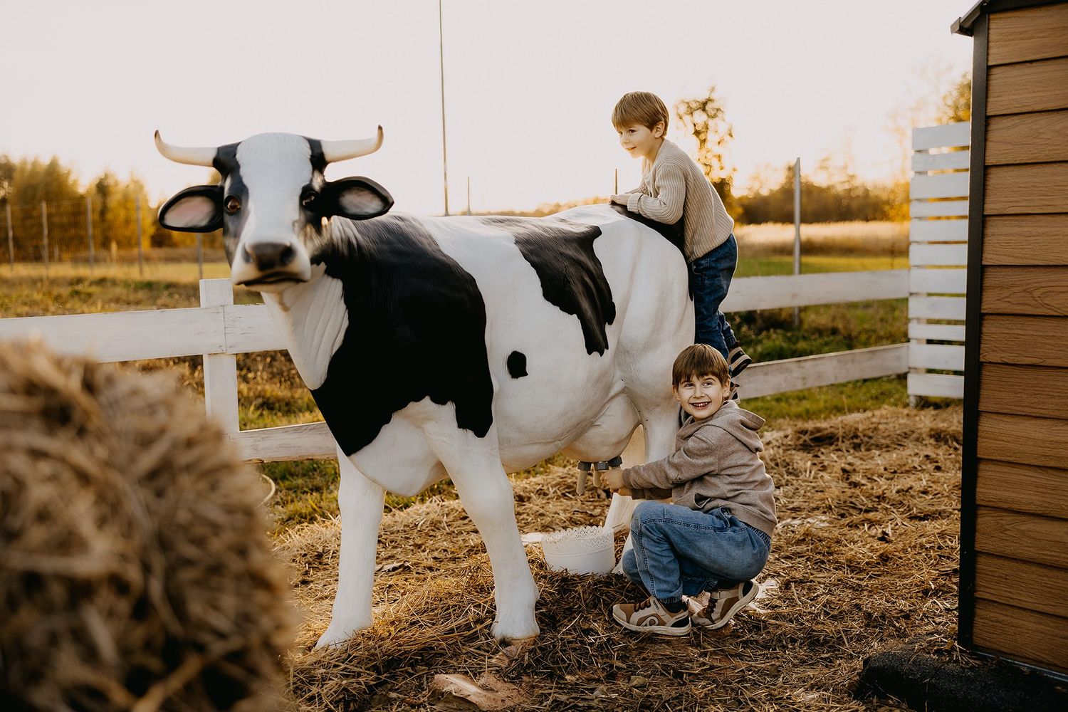 Two young boys playing with a black and white cow statue on a farm at sunset.