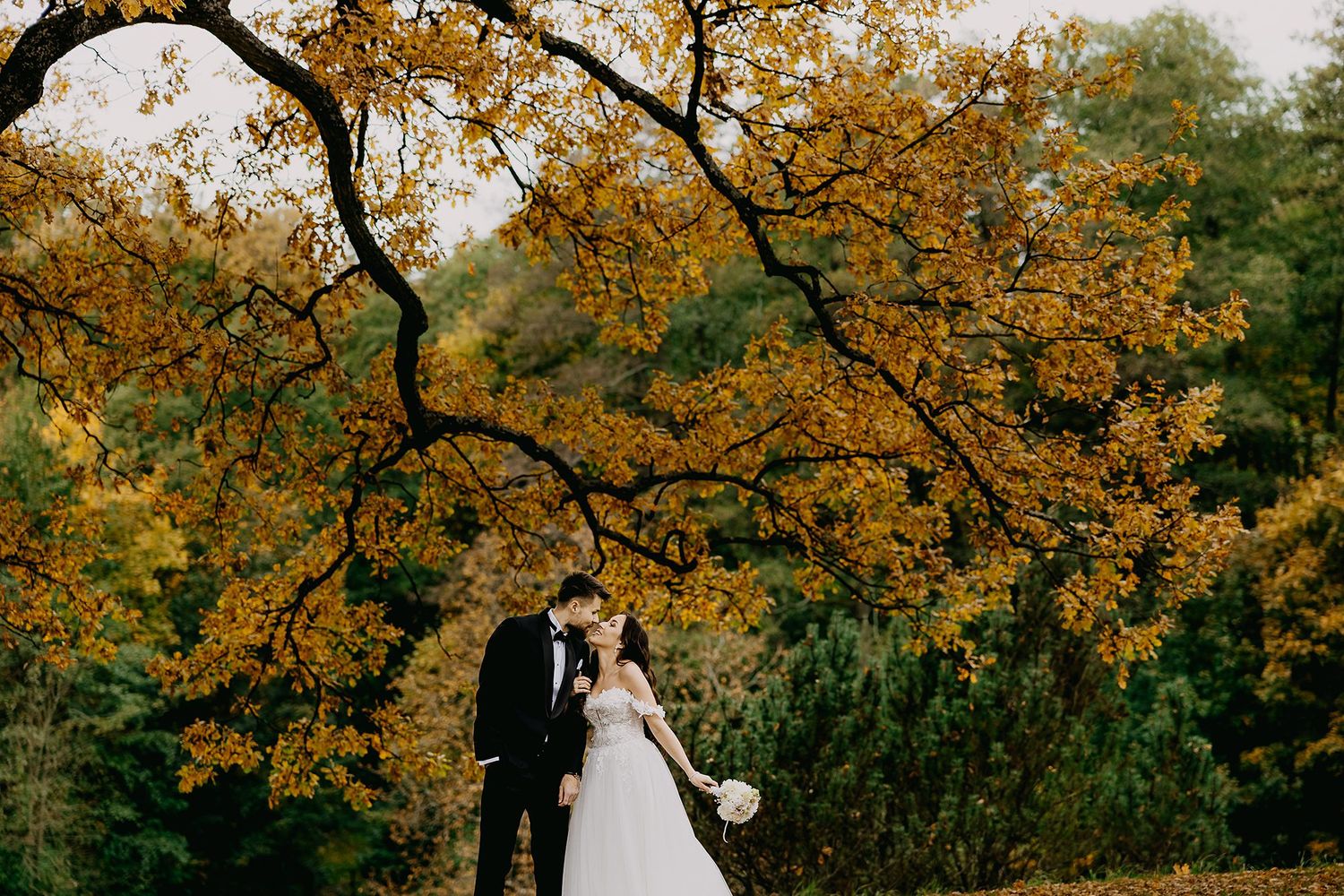 Bride and groom sharing romantic kiss beneath sweeping golden oak tree branches in autumn.