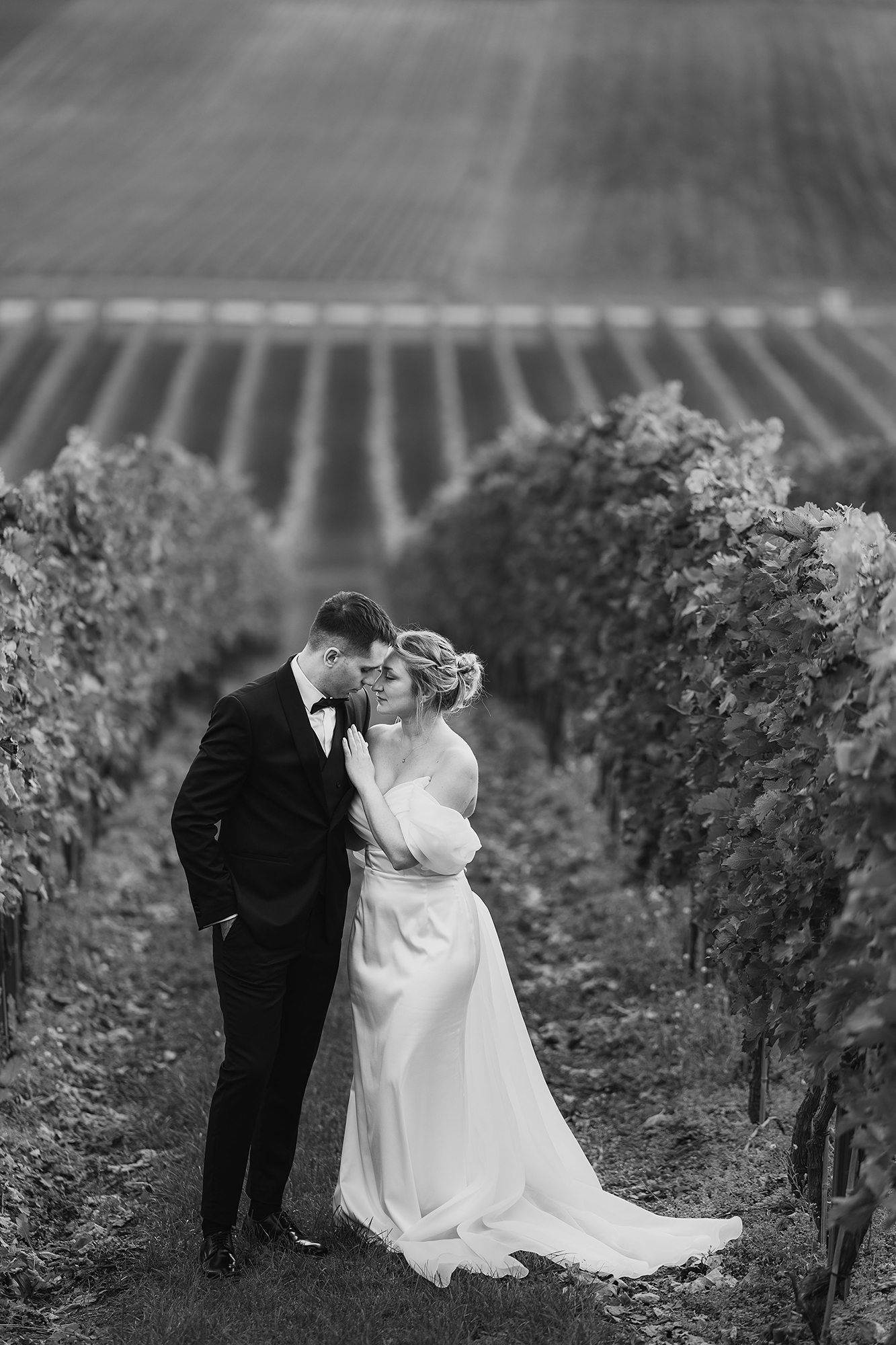 Black and white photo of bride and groom sharing a kiss in a lush vineyard setting.