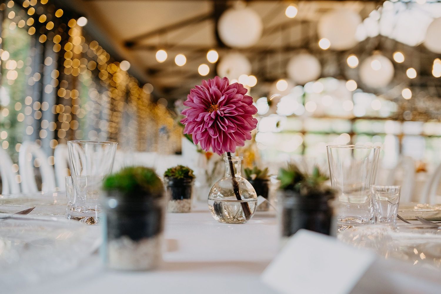 Elegant wedding reception table with a pink dahlia centerpiece, glass vases, succulents, and fairy lights in the background.