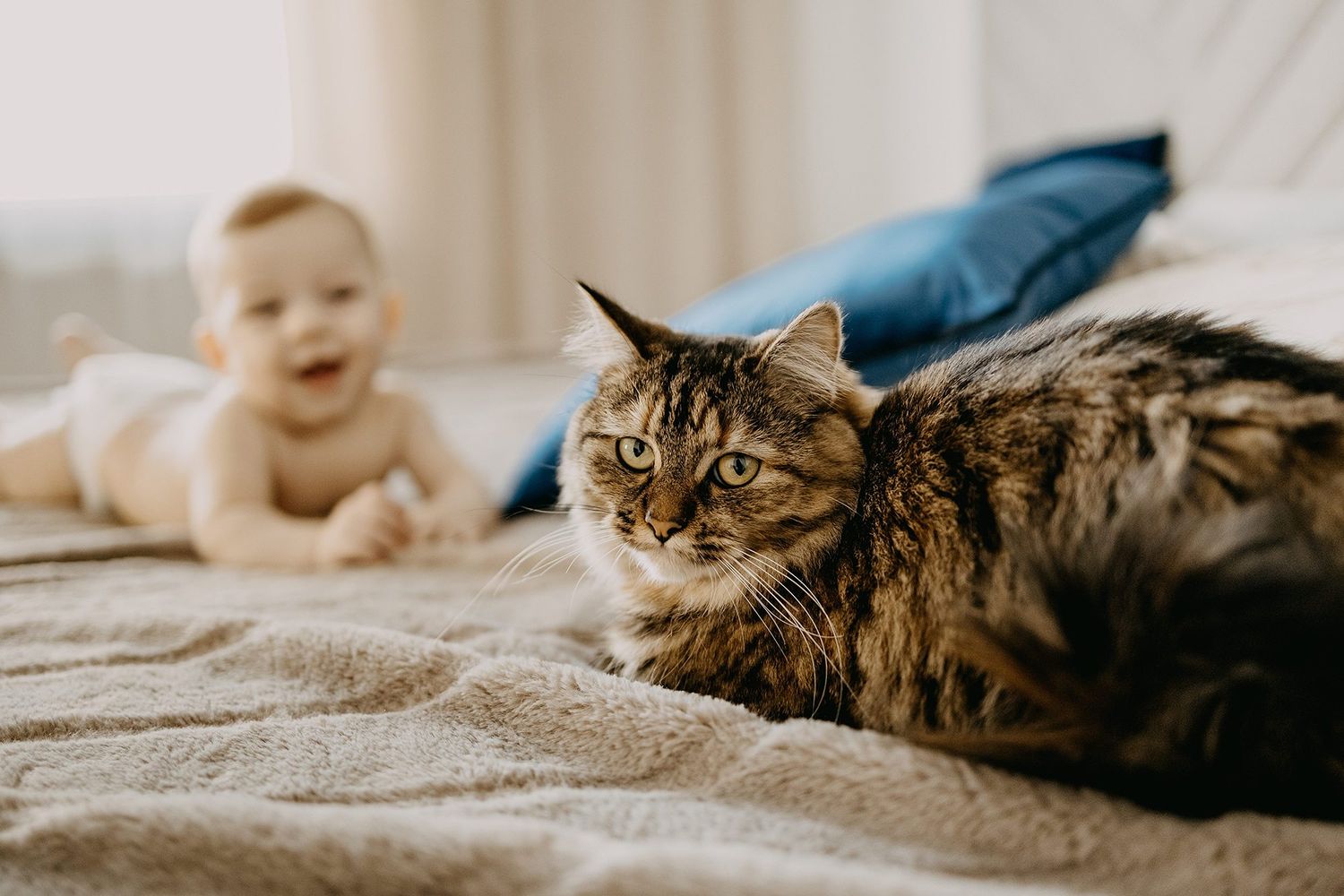 A tabby cat rests on a bed while a happy baby lies in the background.