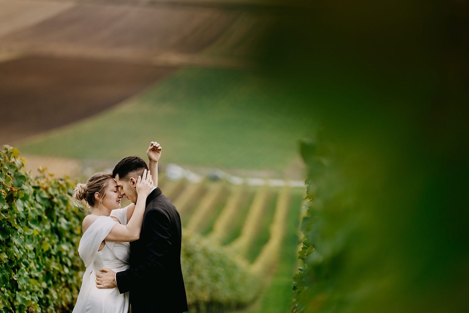 Couple kissing in a lush vineyard with rolling green fields in the background.