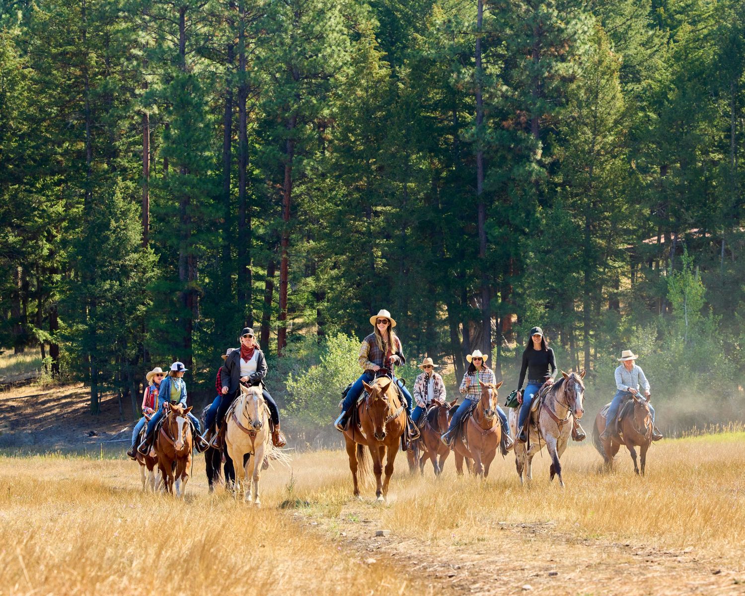 Large group of horseback riders trekking through golden meadow surrounded by tall pine trees on ranch.