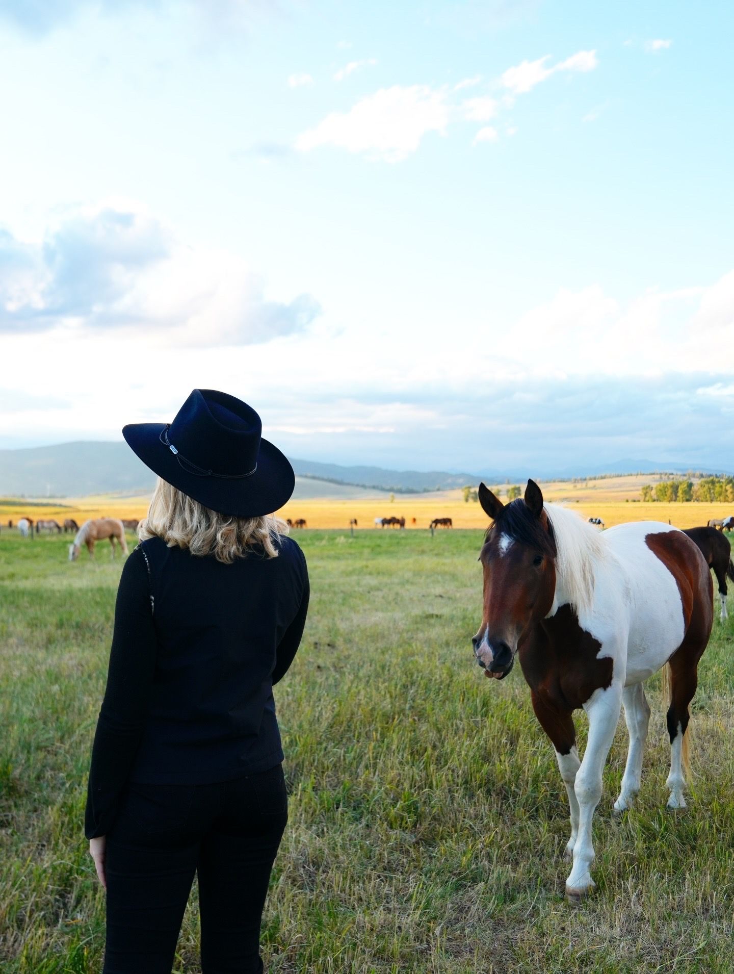 Woman in black cowboy hat stands beside a brown and white pinto horse in an open green pasture.