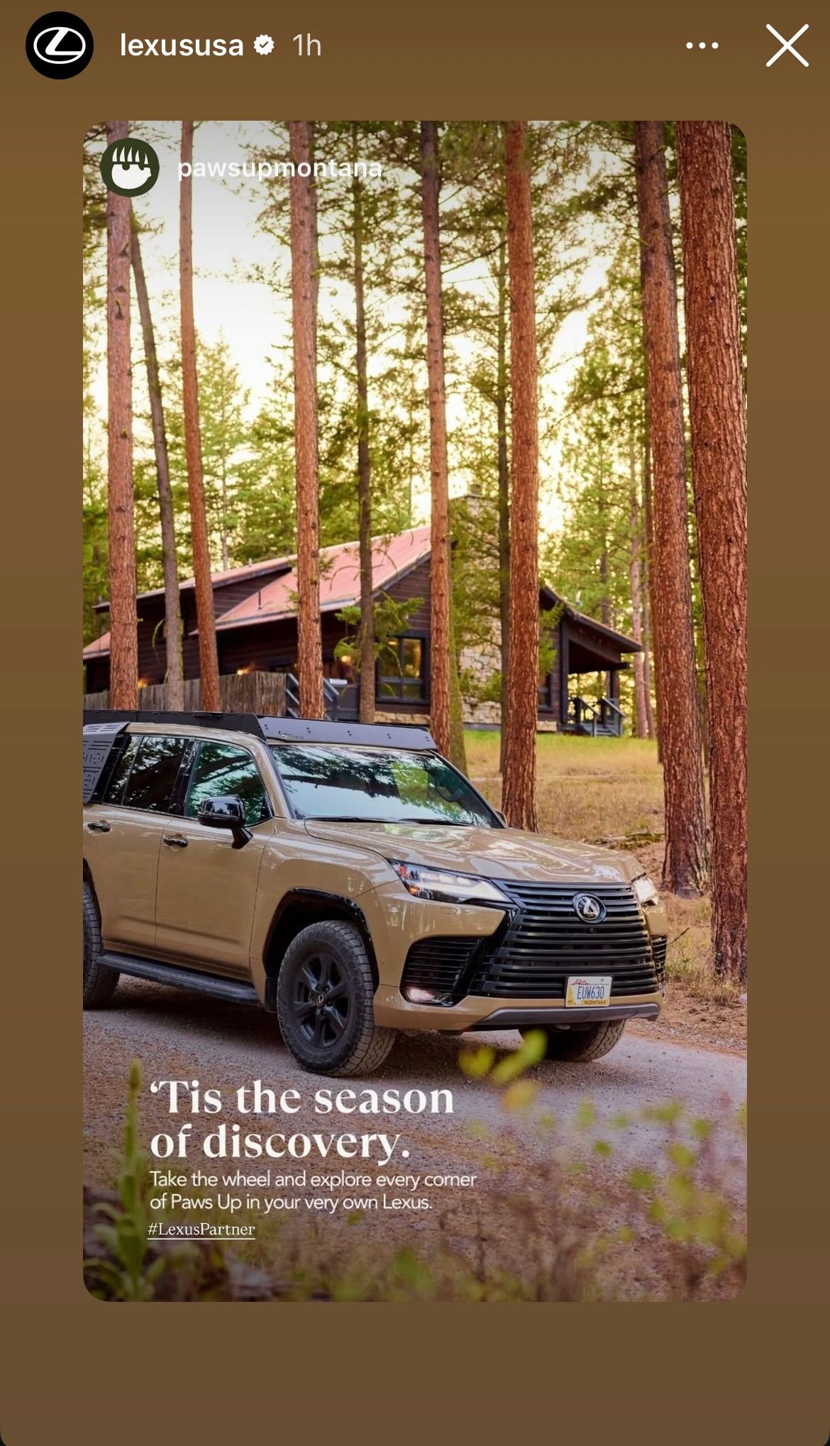 Tan Lexus LX SUV parked on a dirt path among tall pine trees near a rustic Montana lodge at sunset.