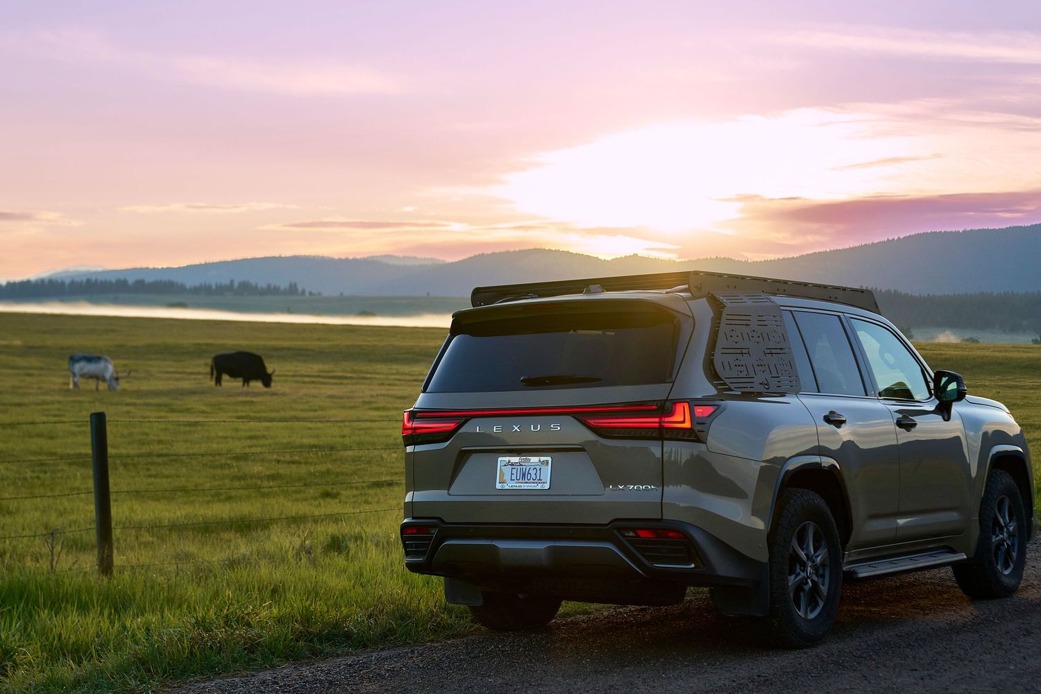 Lexus LX SUV parked on grassy field at sunset with bison grazing in background.