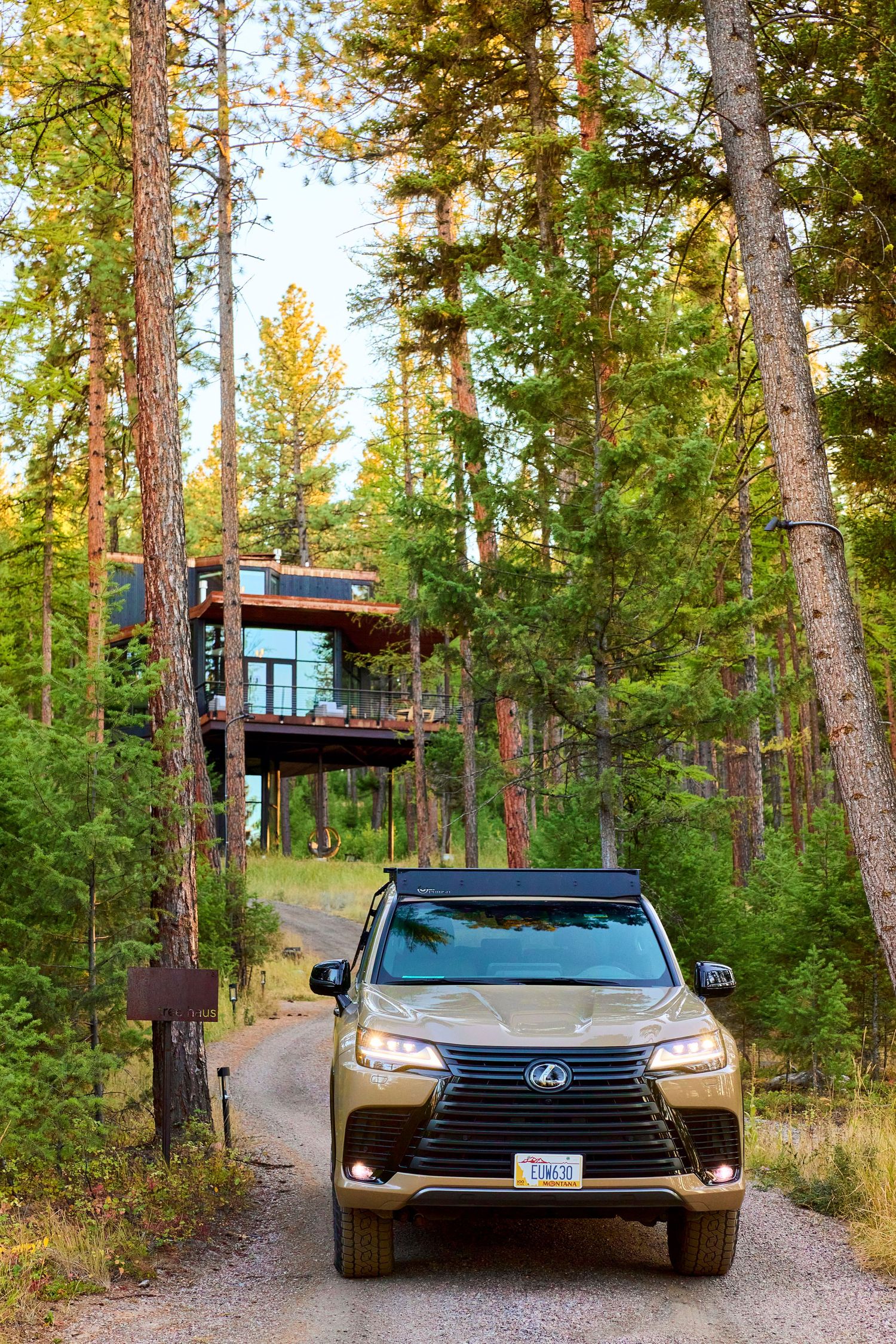 A tan Lexus LX SUV drives on a forest dirt road toward a elevated cabin among tall pine trees.