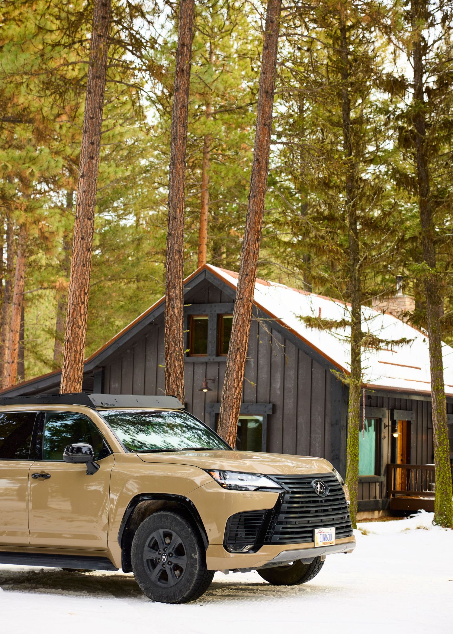 Gold Lexus LX SUV parked in snow outside dark wood cabin surrounded by tall pine trees.