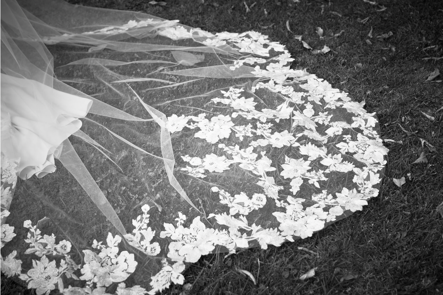 Close-up of a floral lace wedding veil spread across green grass in black and white.