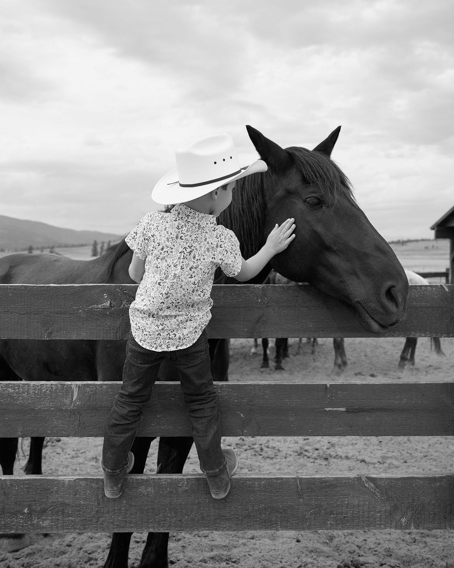 A young child in a cowboy hat reaches over a wooden fence to pet a dark horse on a ranch.