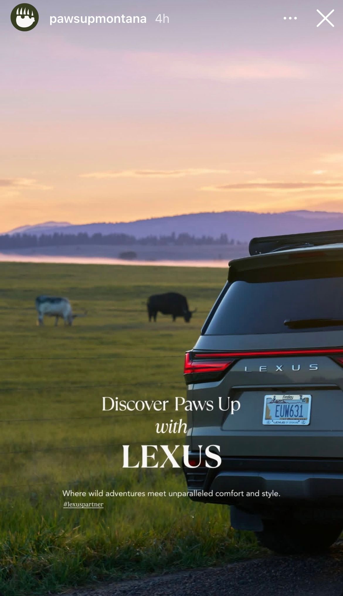 Lexus SUV parked on a vast Montana prairie at dusk with grazing cattle and mountain backdrop.