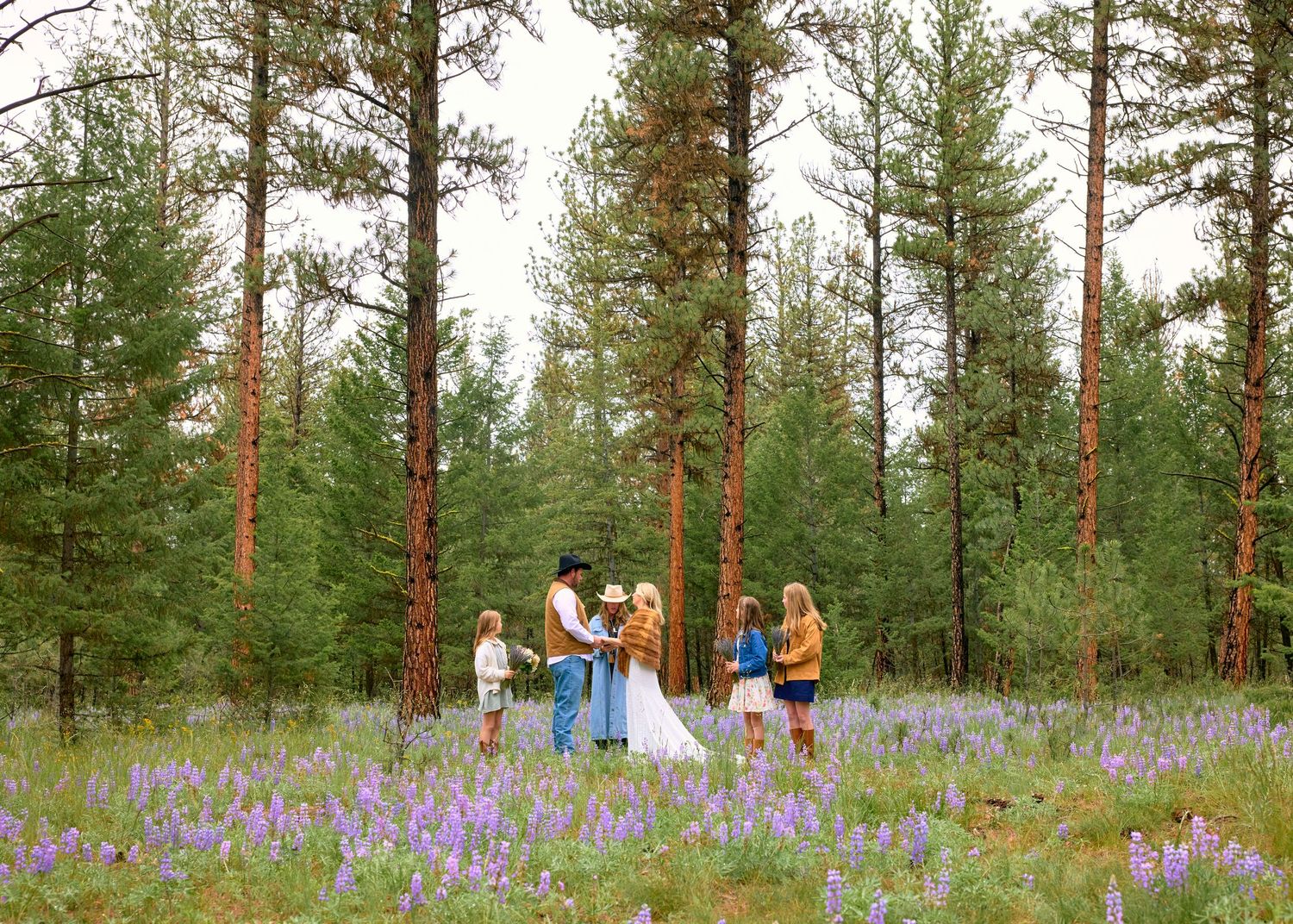 Wide shot of outdoor wedding ceremony in a lupine field among tall pine trees.