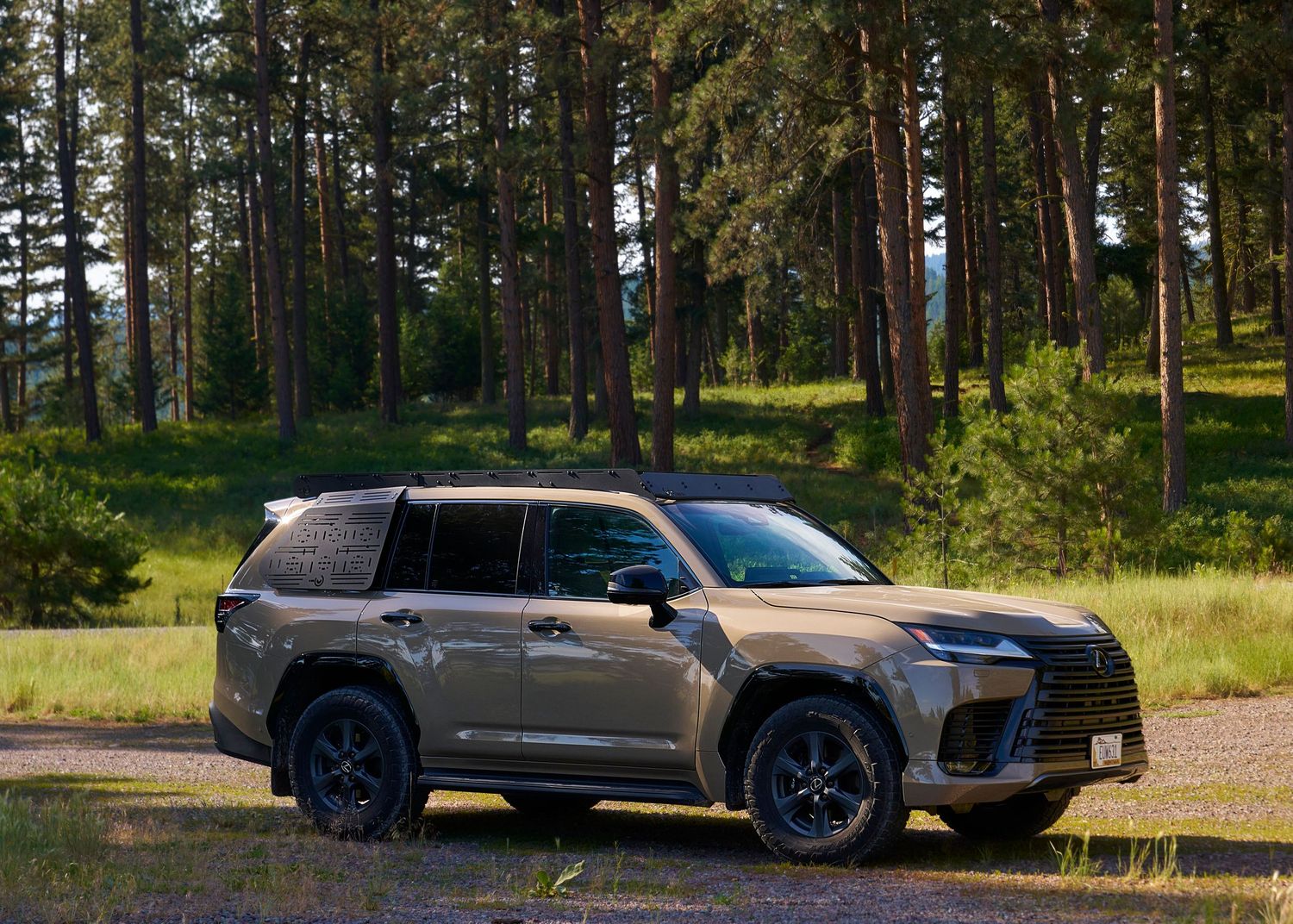 Silver Lexus LX SUV parked on gravel road in sunlit green pine forest landscape.