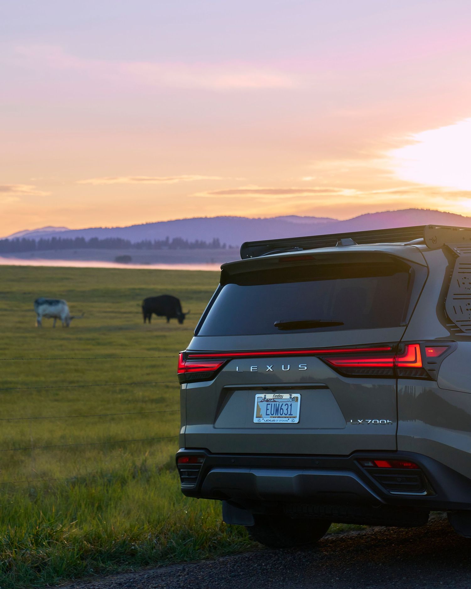 Rear view of a Lexus LX700h at sunset with bison grazing in a golden meadow behind it.