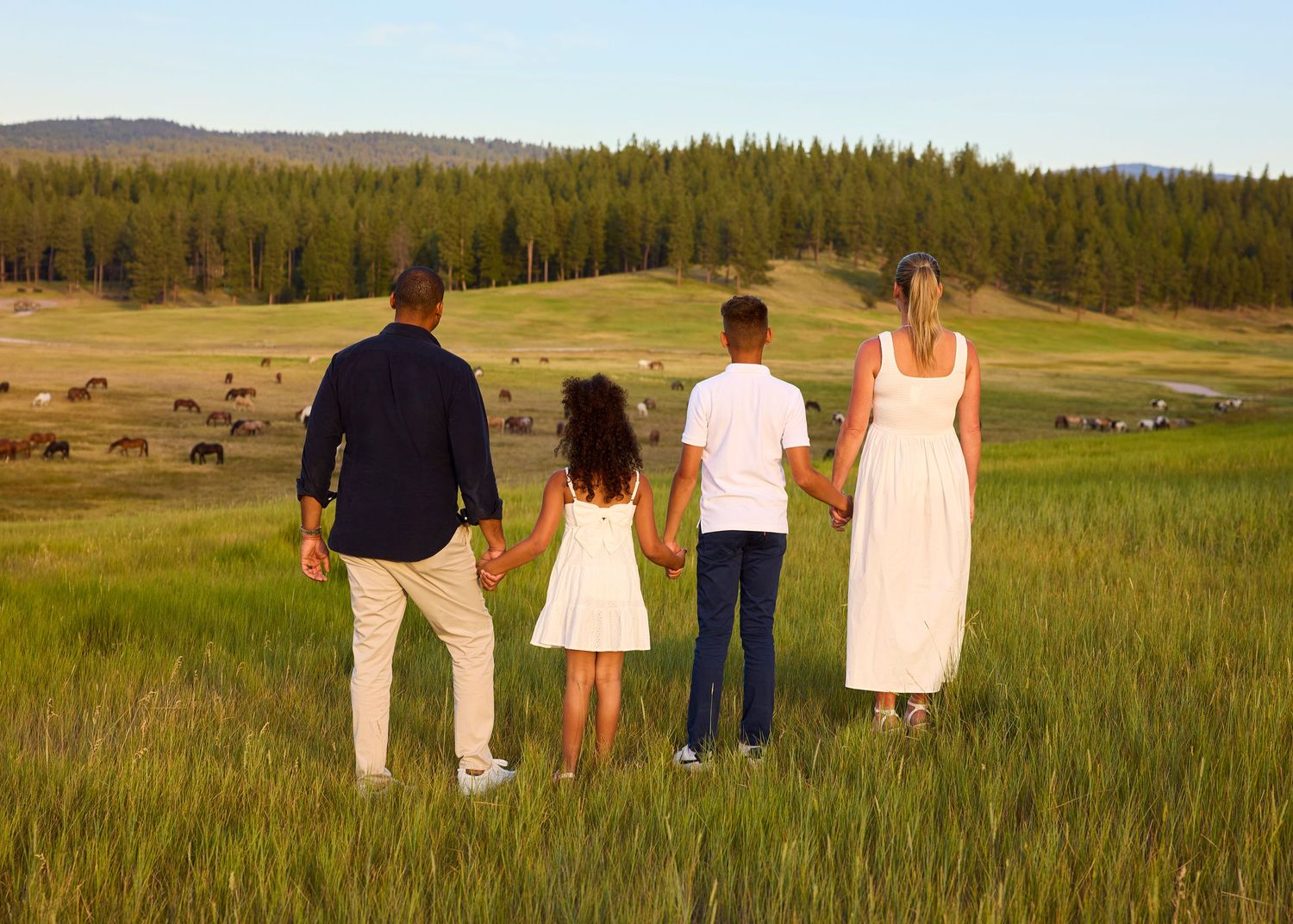 A family of four holds hands while gazing at horses grazing in a scenic green meadow at sunset.