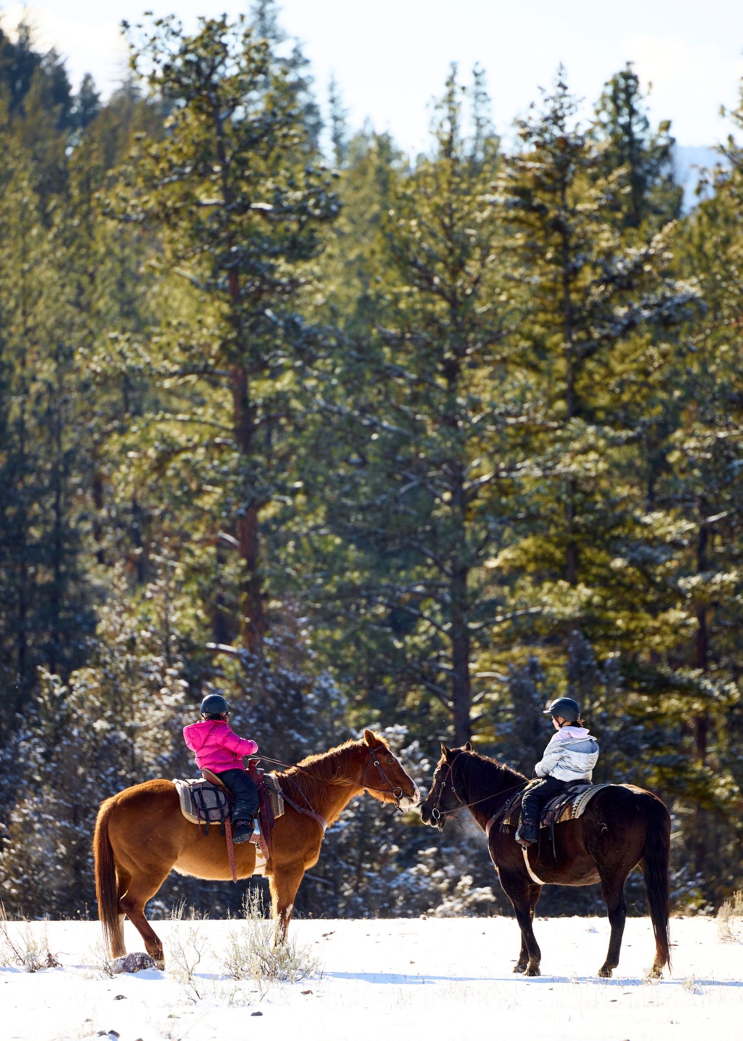 Two riders on horseback traverse a snowy winter trail surrounded by tall evergreen trees.