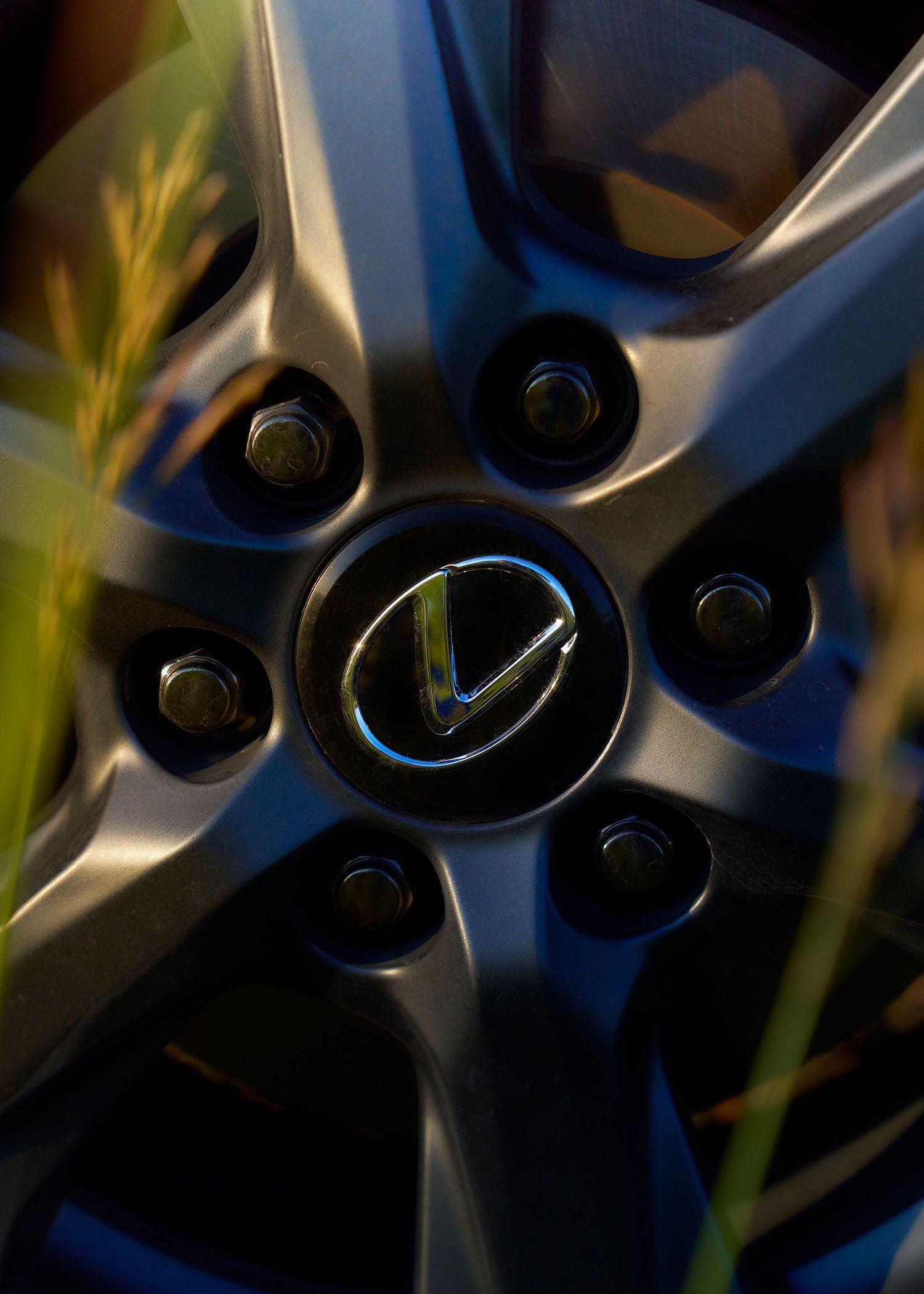 Close-up of a dark Lexus alloy wheel with chrome center cap surrounded by green grass.