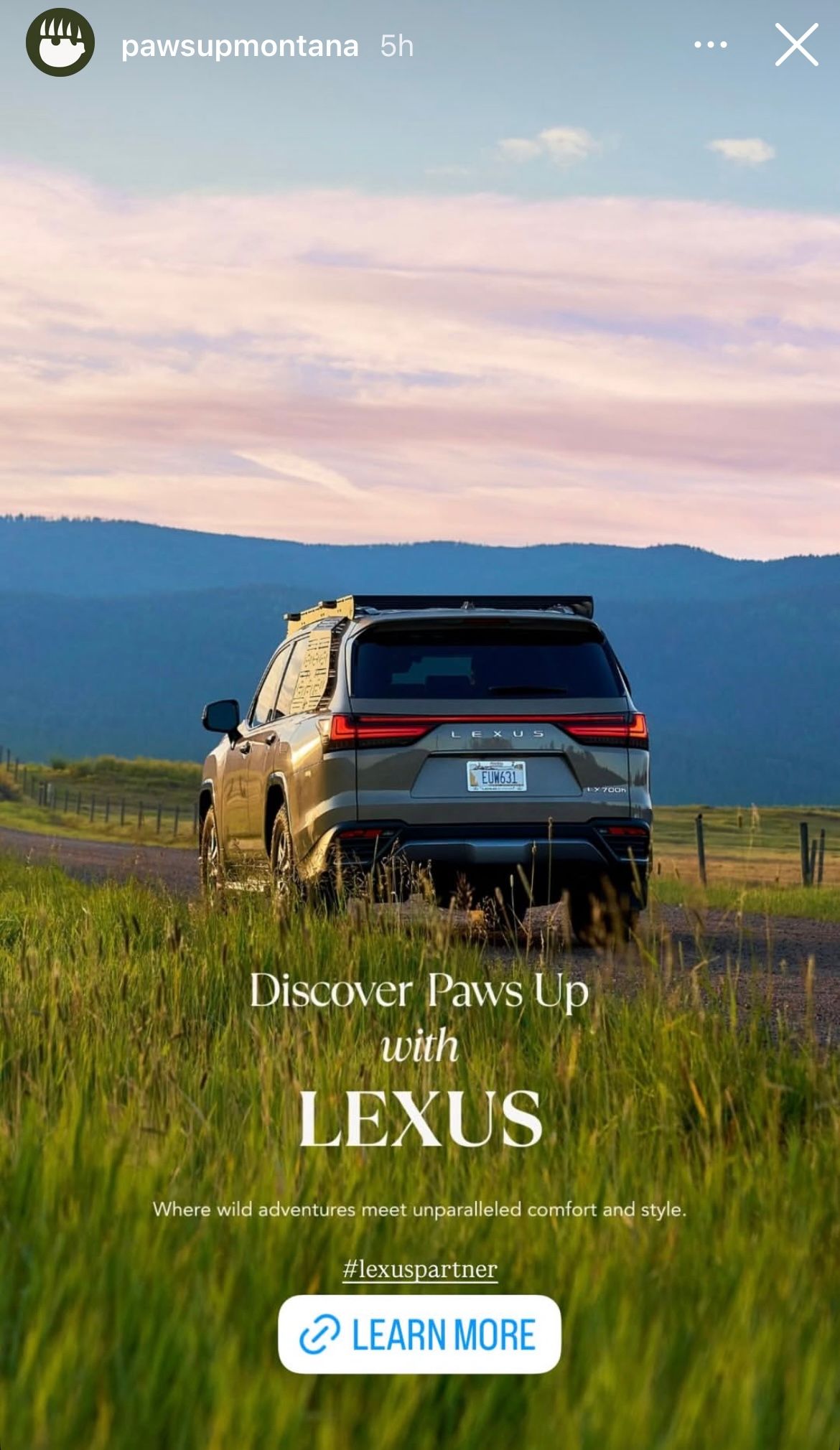 Rear view of a dark Lexus SUV on a rural Montana road surrounded by lush green fields at dusk.