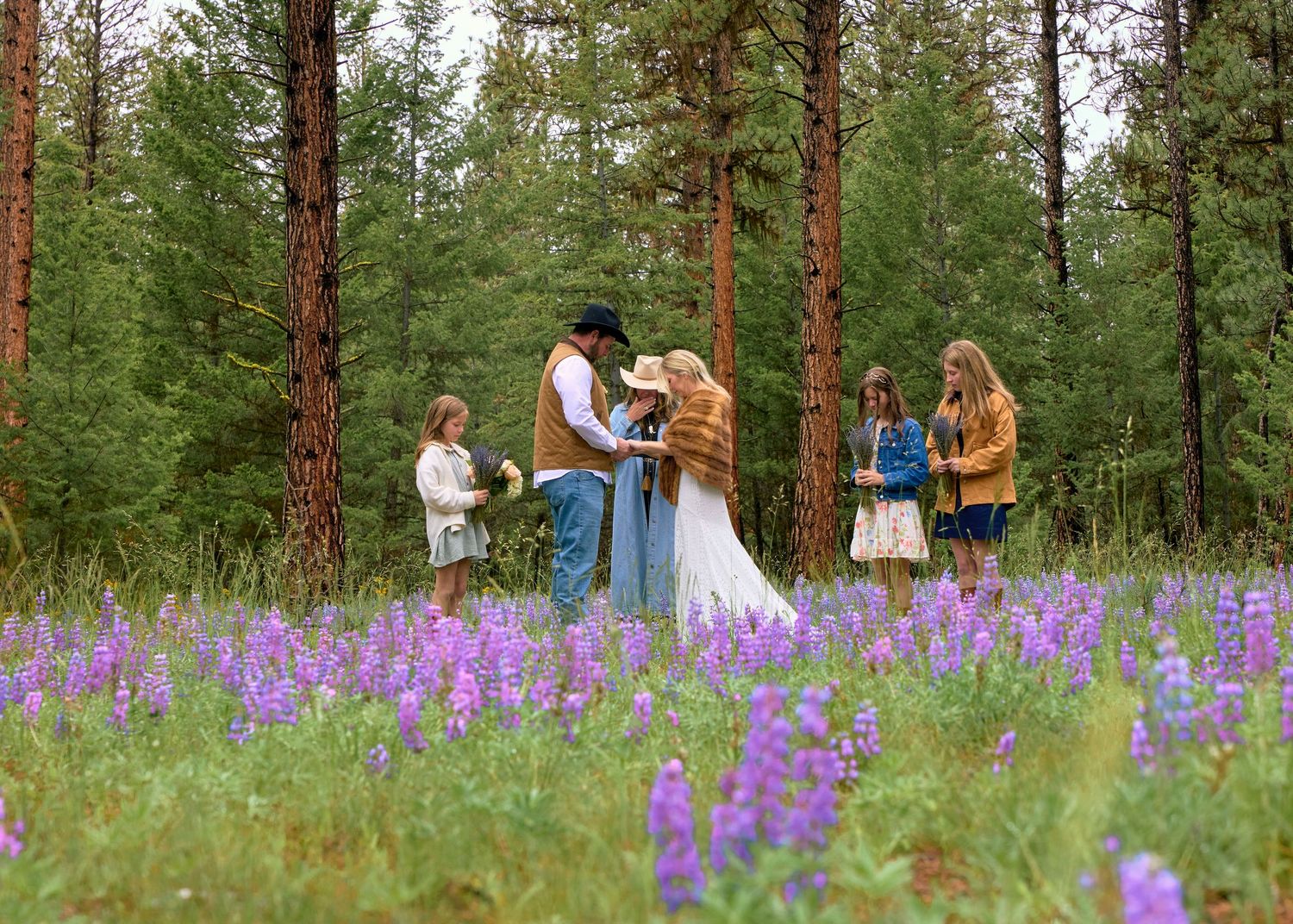 Outdoor wedding ceremony in vibrant purple lupine wildflower meadow with tall pine trees in background.