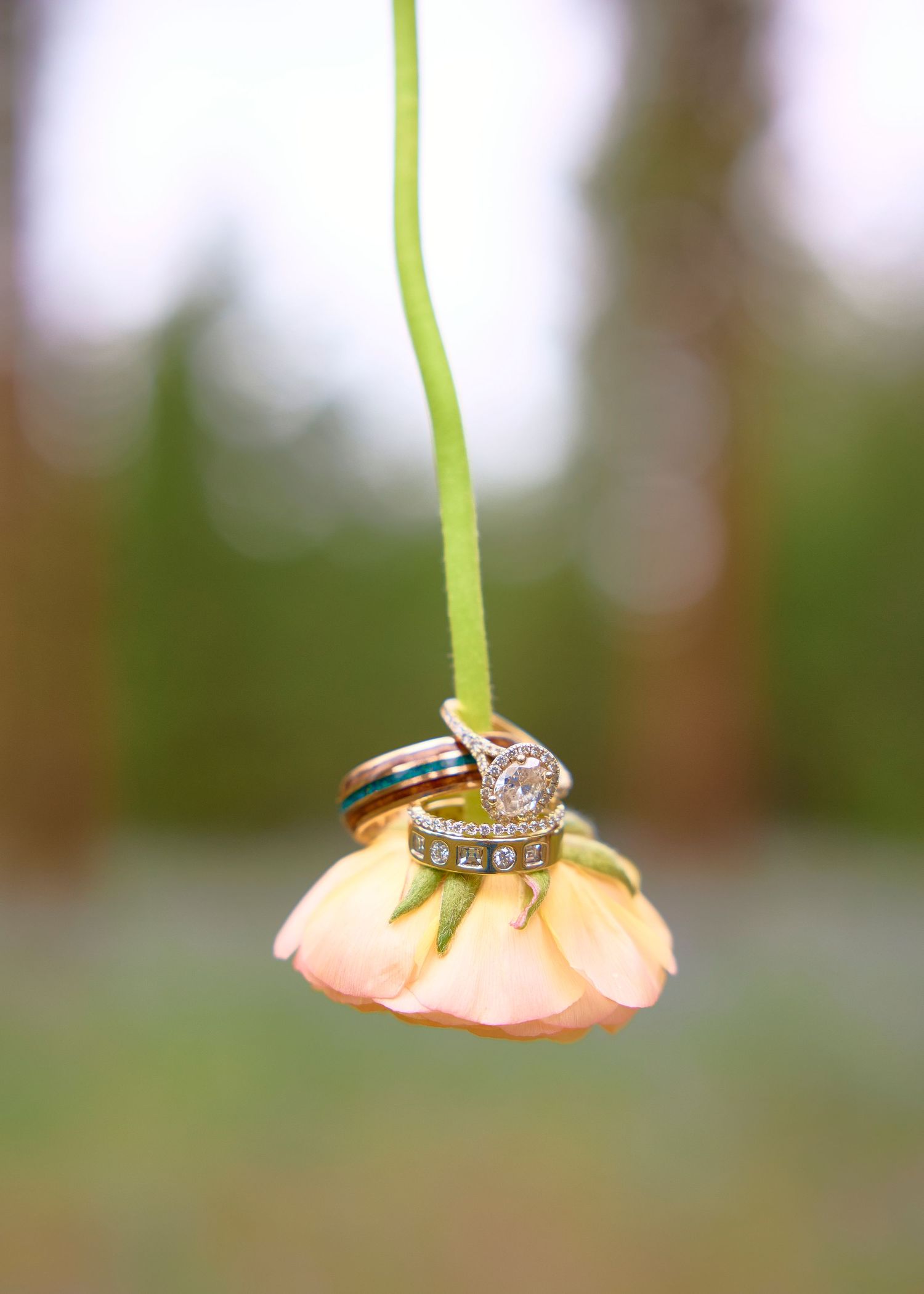 Elegant wedding ring set with diamond halo and turquoise wood inlay band resting on a peach flower.