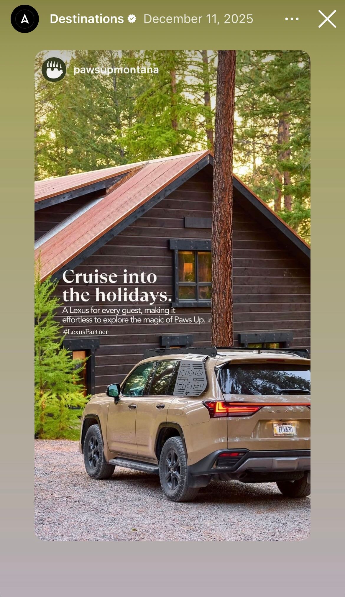 Rear view of a tan Lexus SUV parked on a gravel path beside a rustic log cabin in a pine forest.