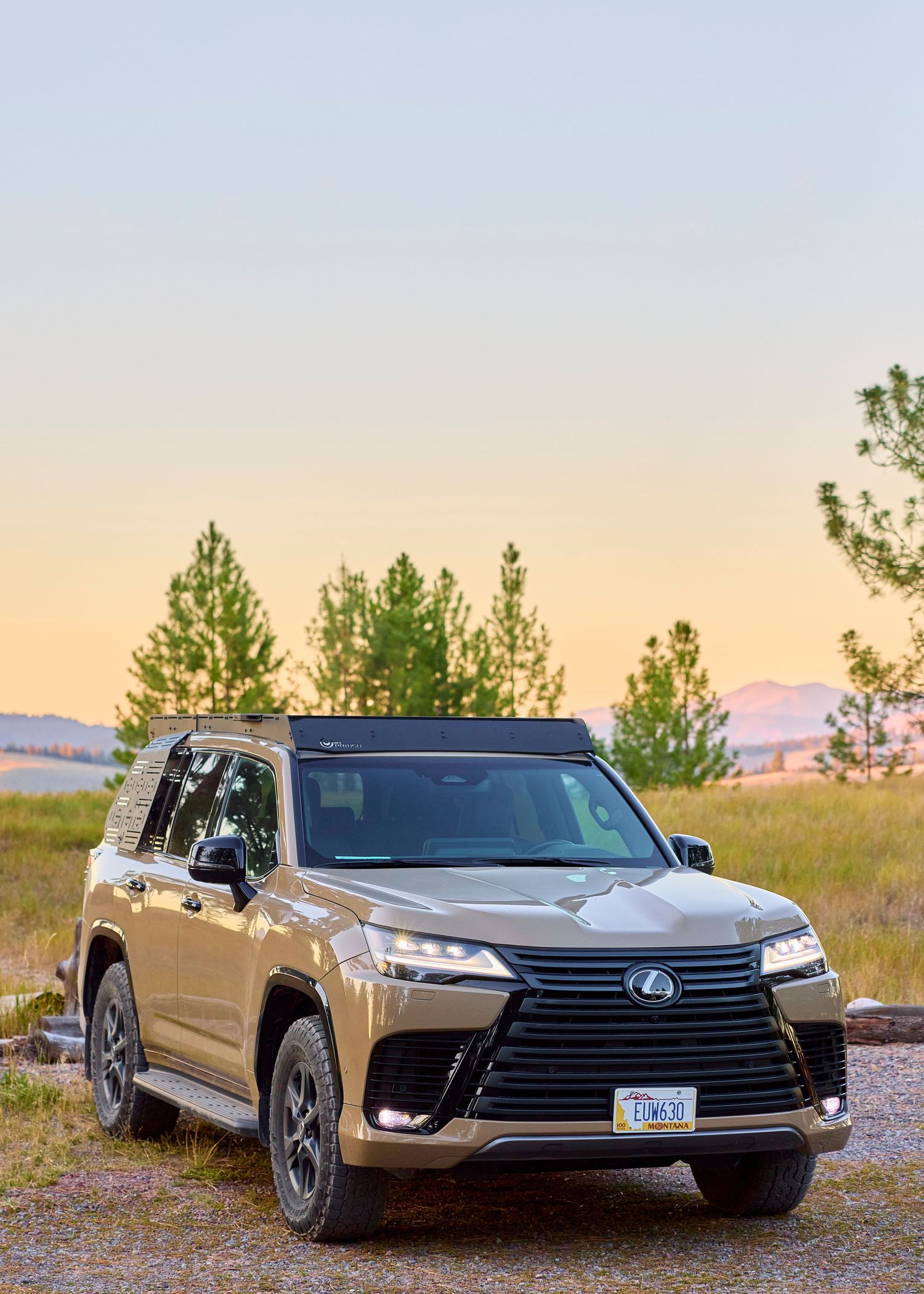 Gold Lexus LX 600 SUV parked at golden hour sunset among pine trees in open landscape.
