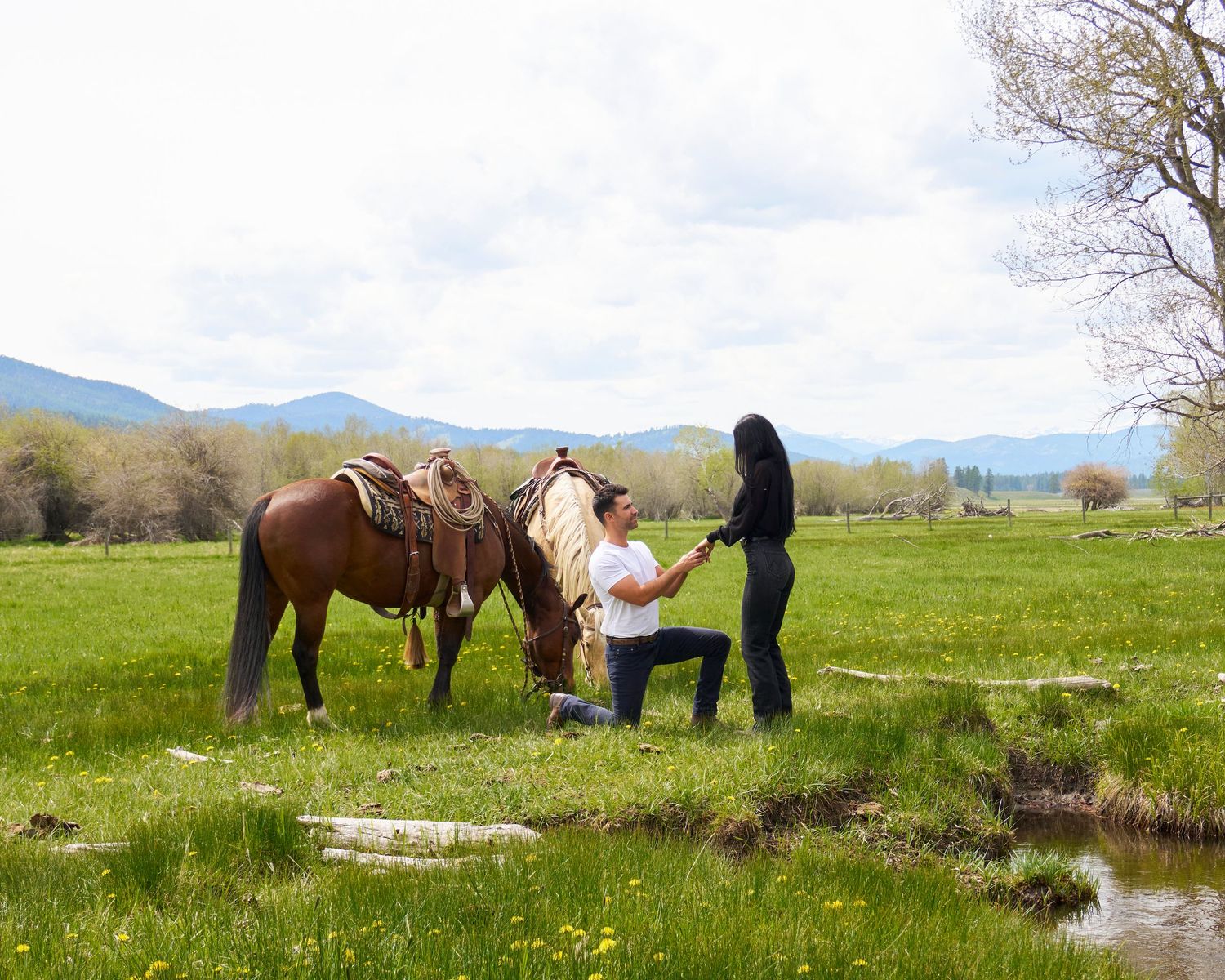 Man proposing on one knee to woman in green meadow with saddled brown horse and mountain backdrop.