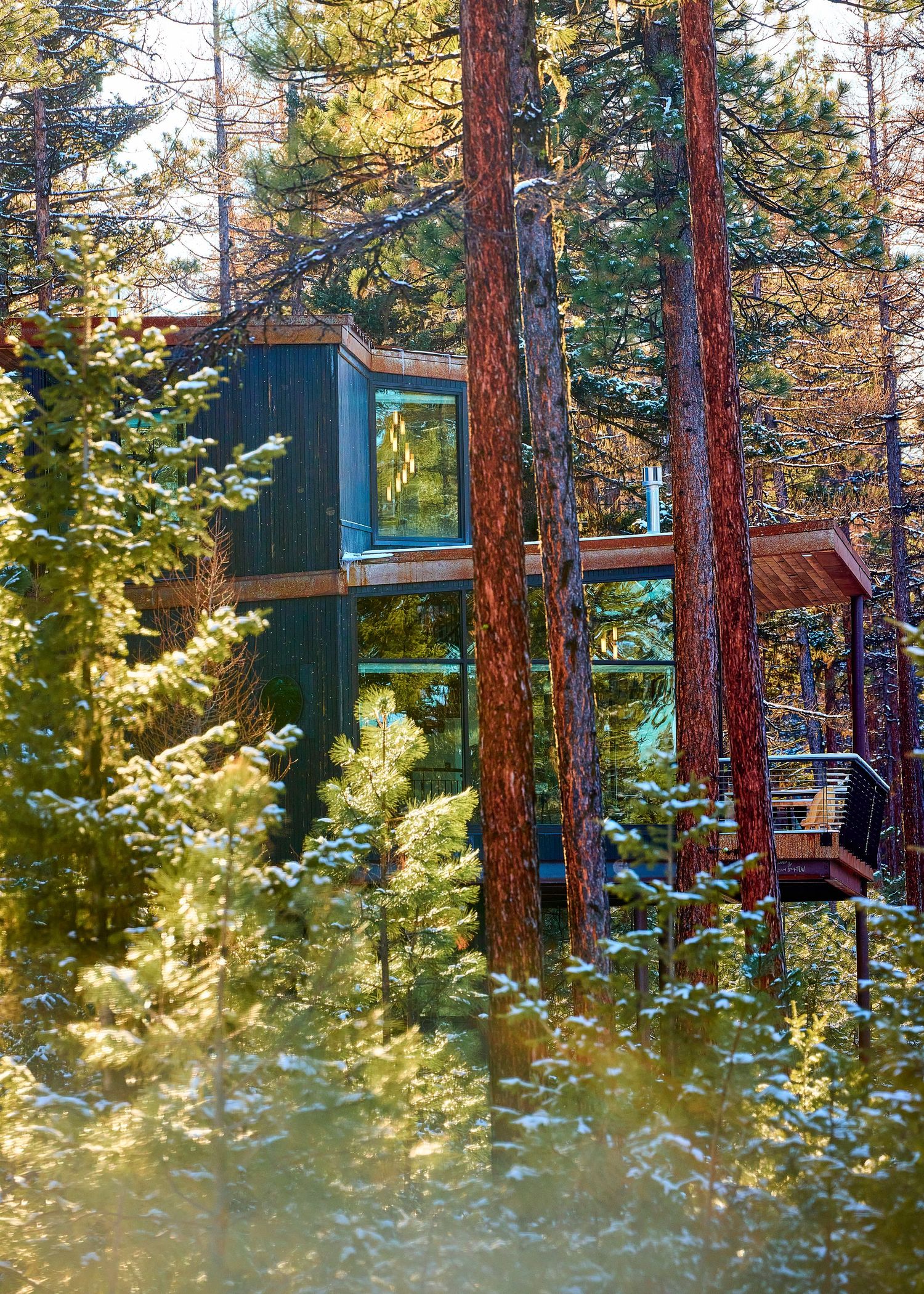 A modern glass and dark metal cabin nestled among tall pine trees with snow-dusted forest undergrowth.